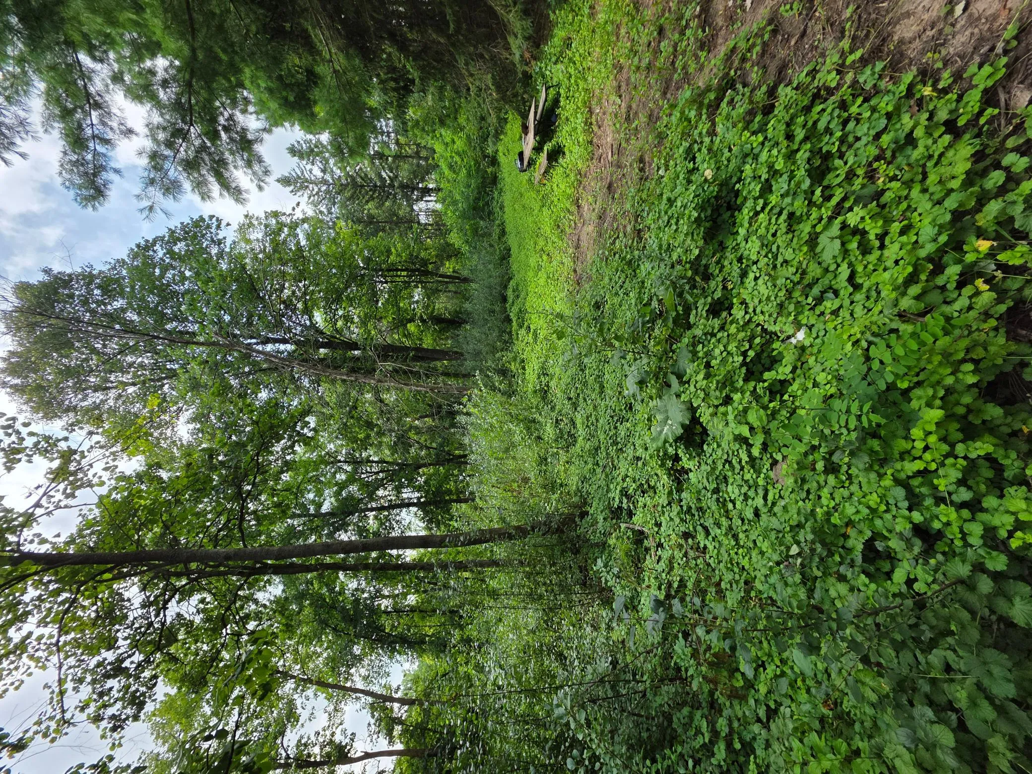 Photo 6 of 14xxx Dellwood N Road