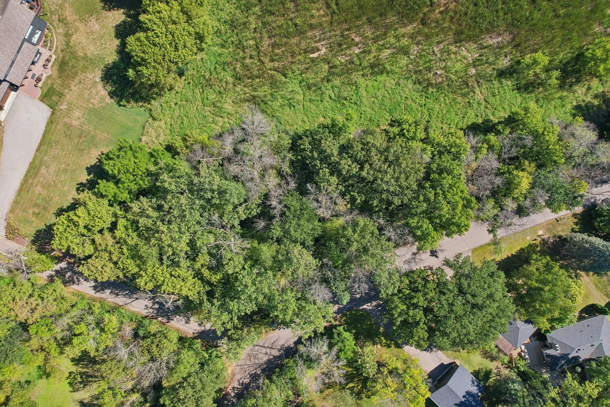 Photo 6 of 17908 Covington Road