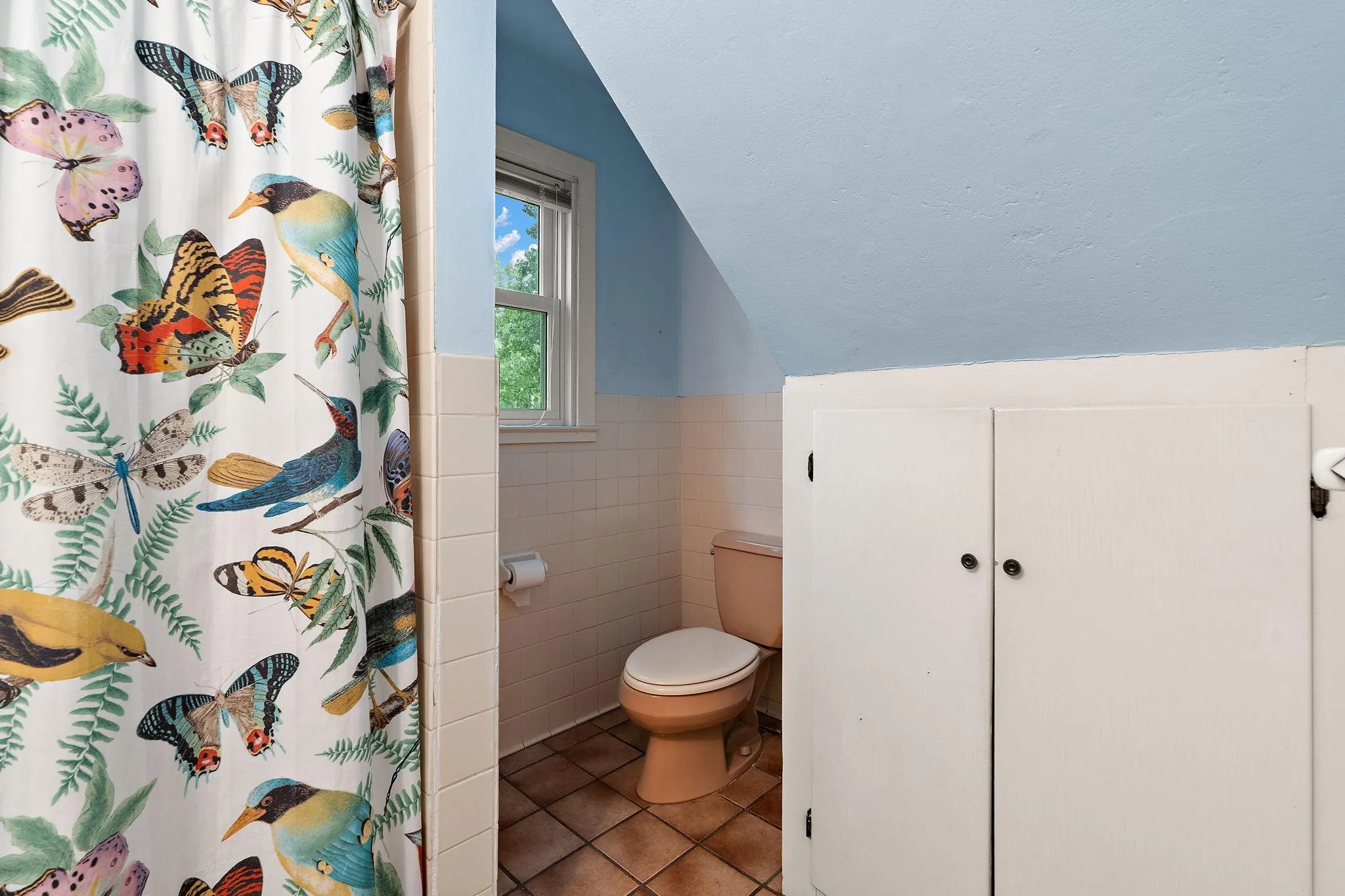 Photo 17 of 981 Rosabell Street