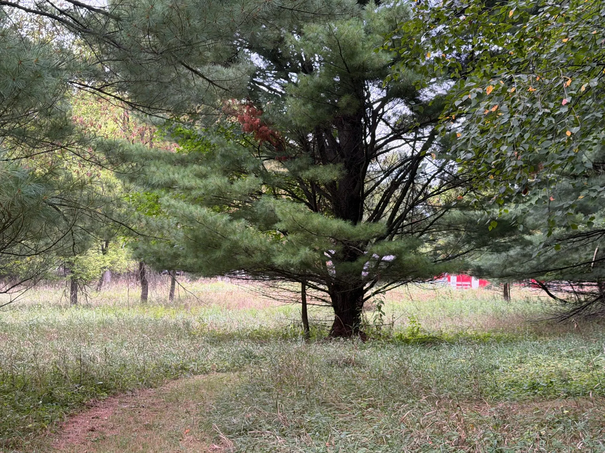 Photo 86 of 15581 Afton S Boulevard
