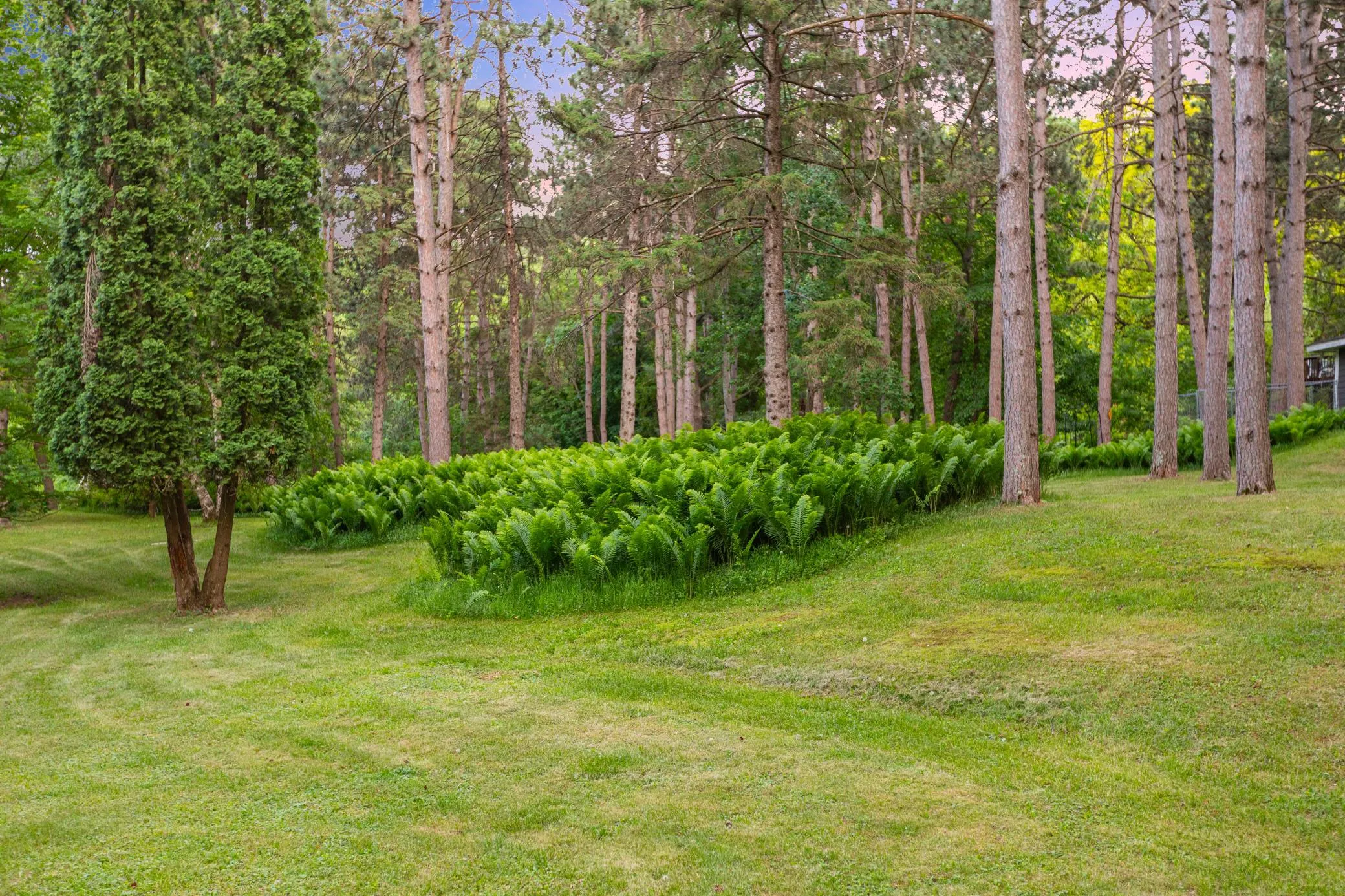 Photo 62 of 15581 Afton S Boulevard