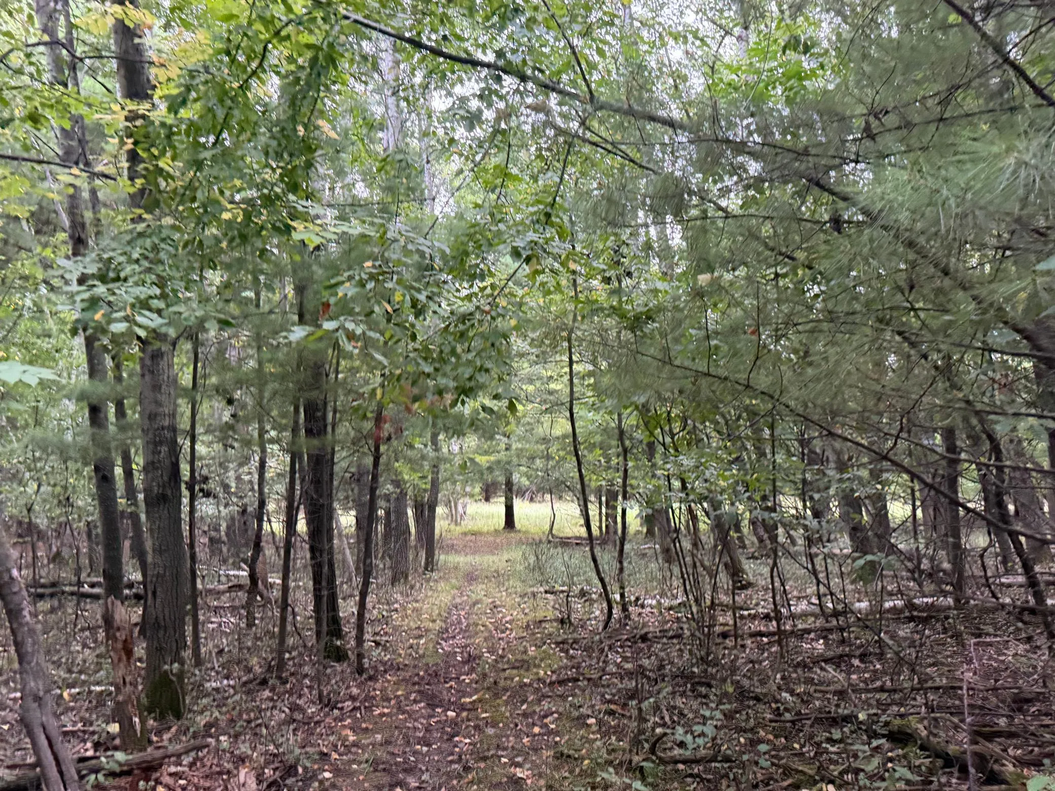 Photo 85 of 15581 Afton S Boulevard