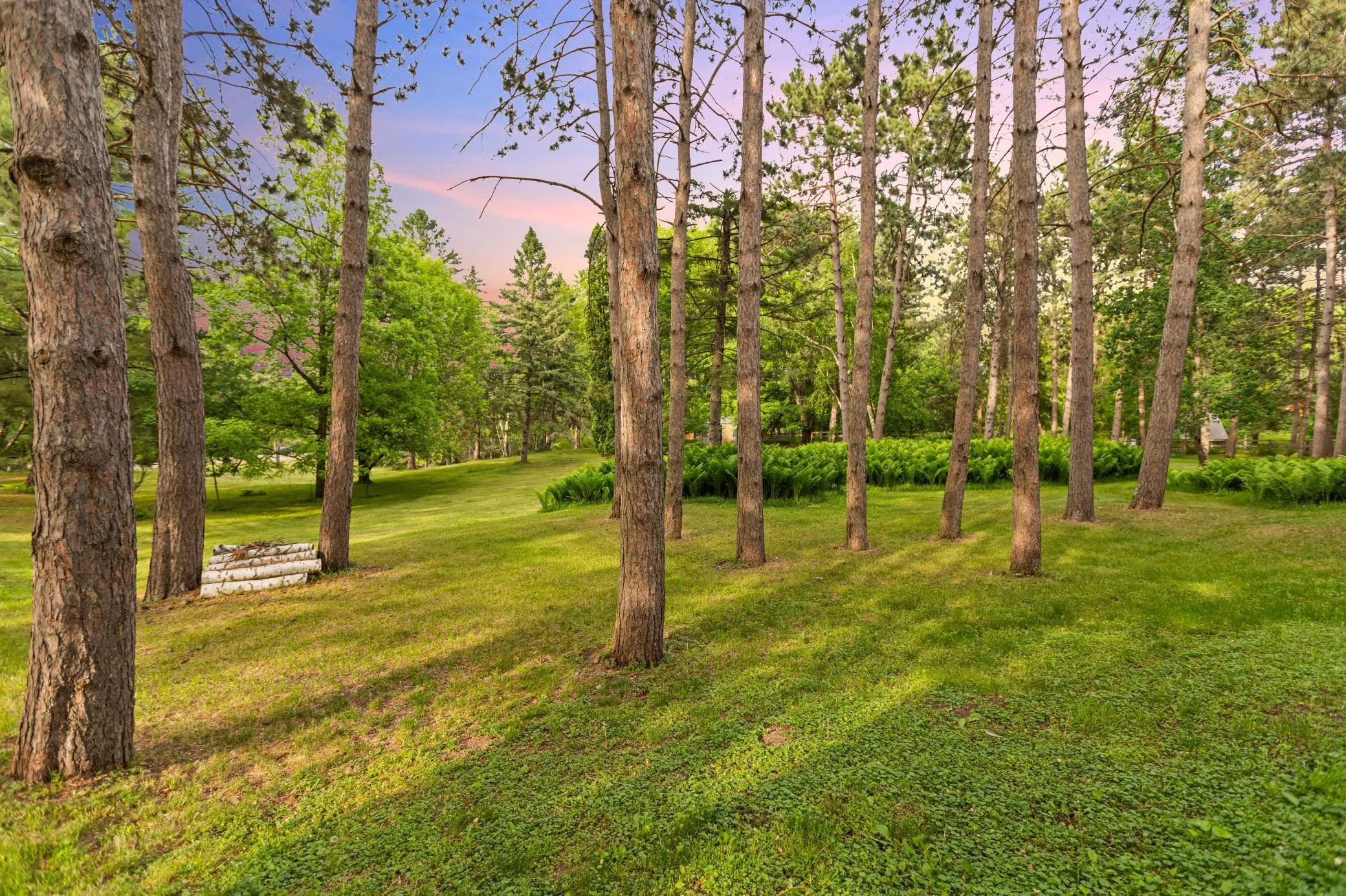 Photo 61 of 15581 Afton S Boulevard