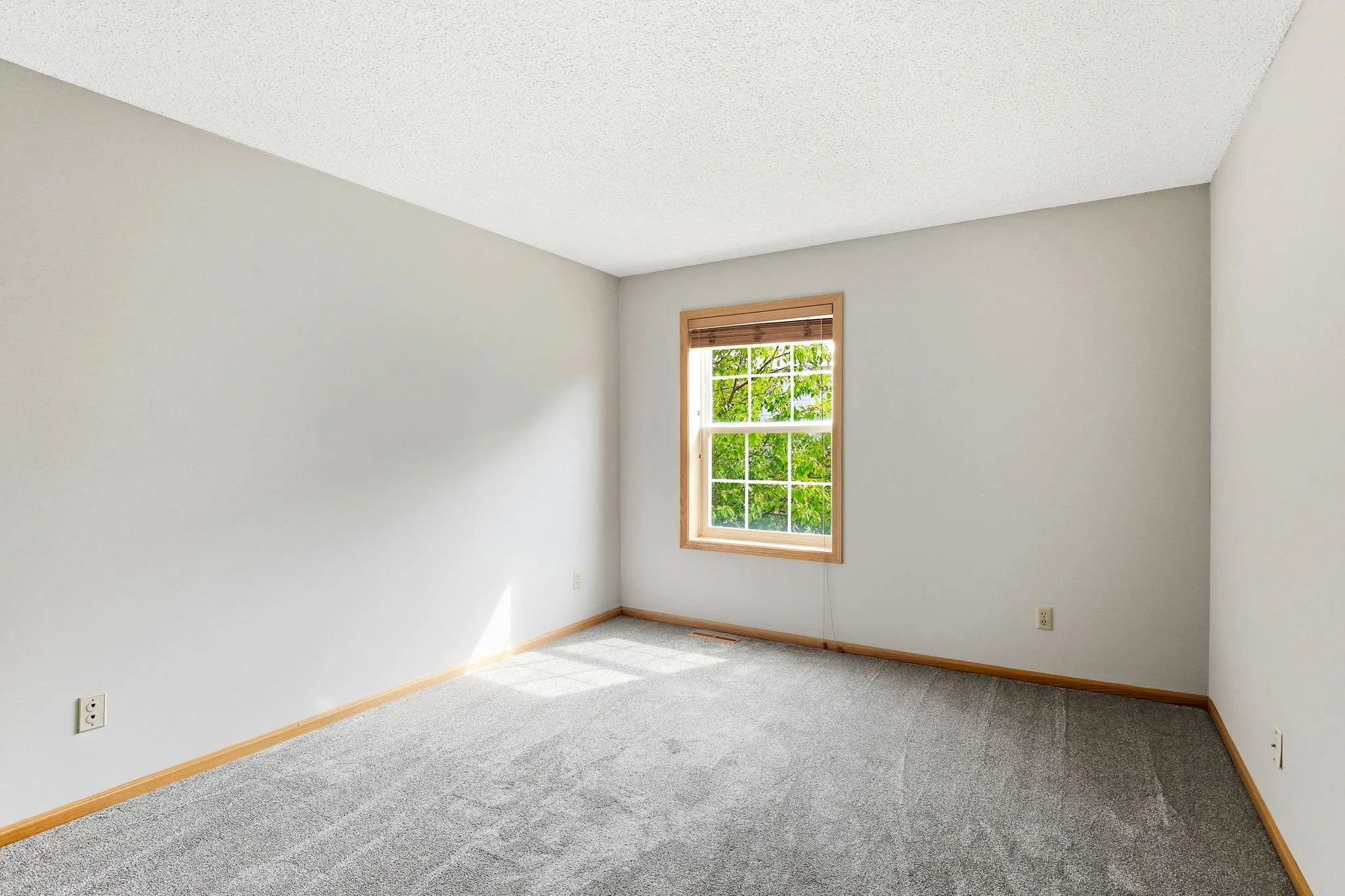 Photo 21 of 2036 Chicory Way