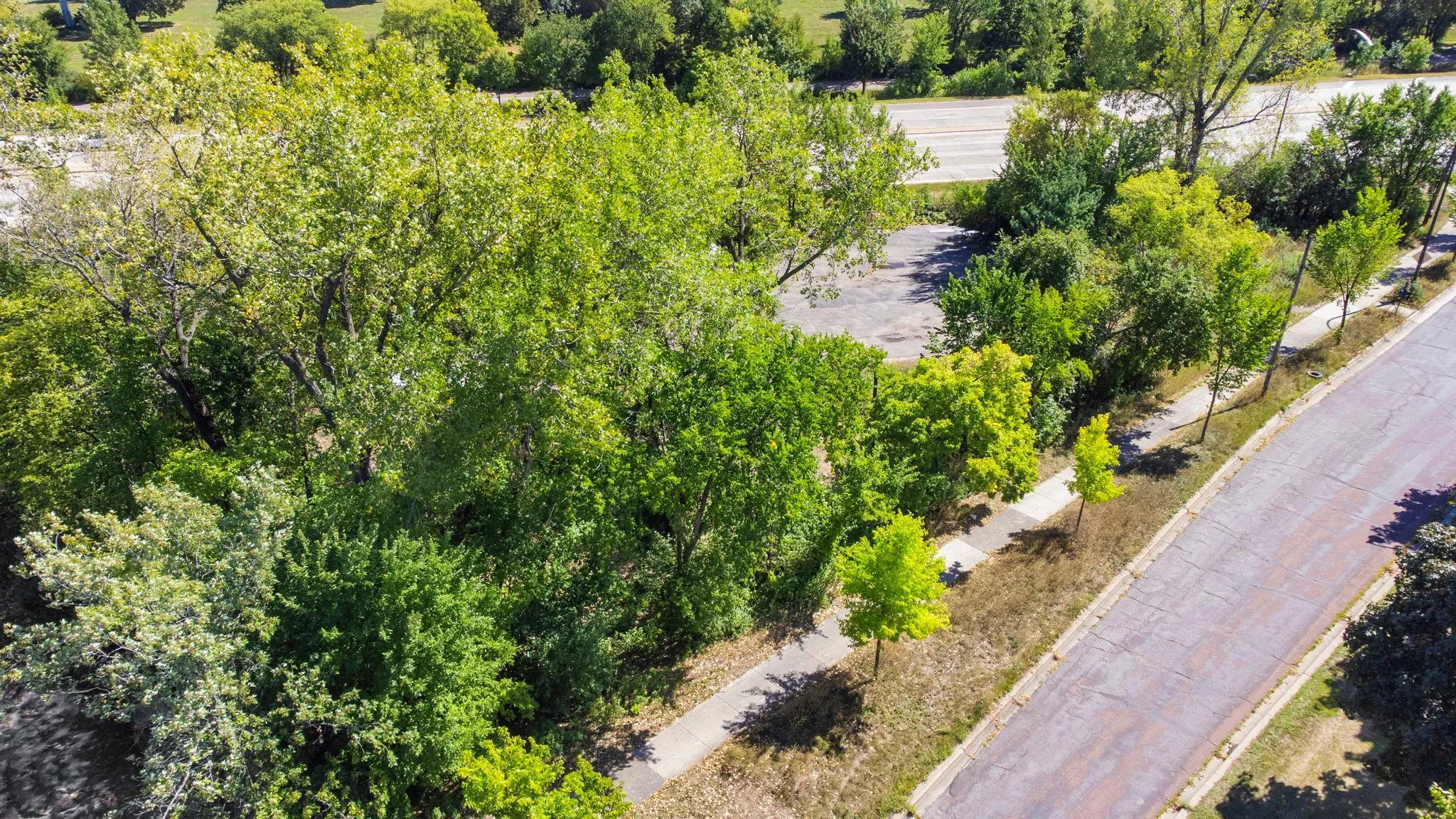 Photo 3 of 1817 Stinson Parkway