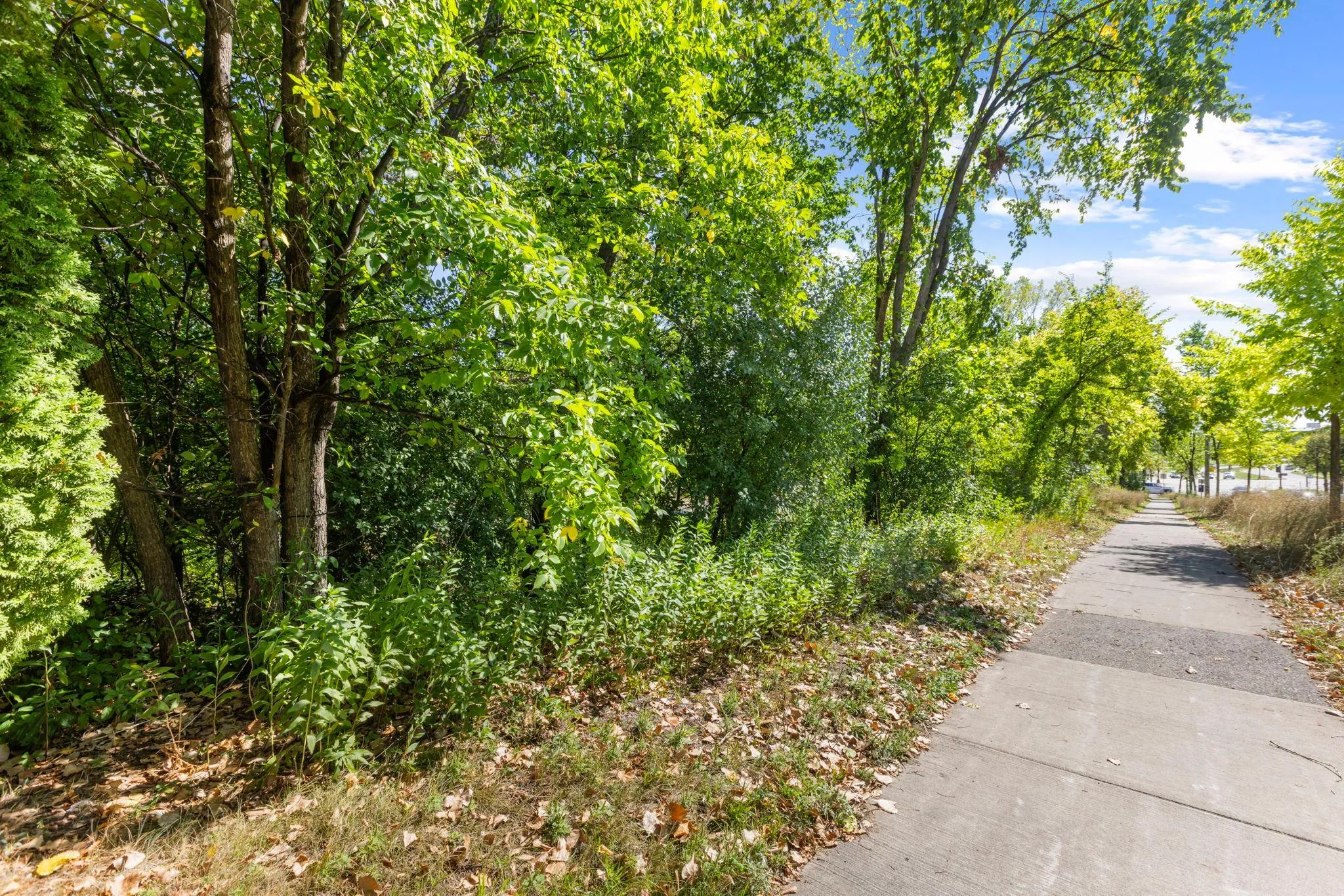 Photo 4 of 1817 Stinson Parkway