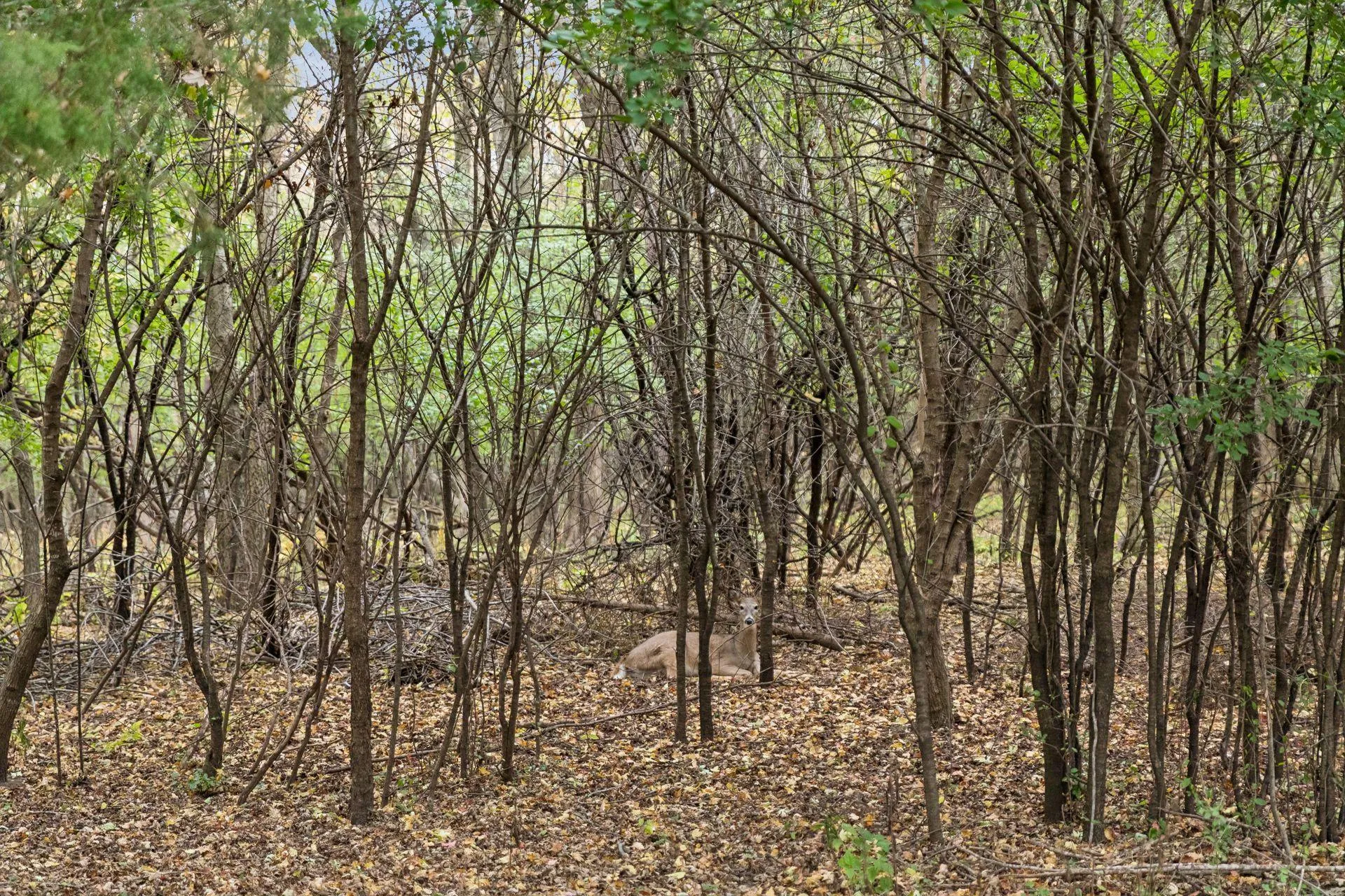 Photo 41 of 1112 Grandview Drive