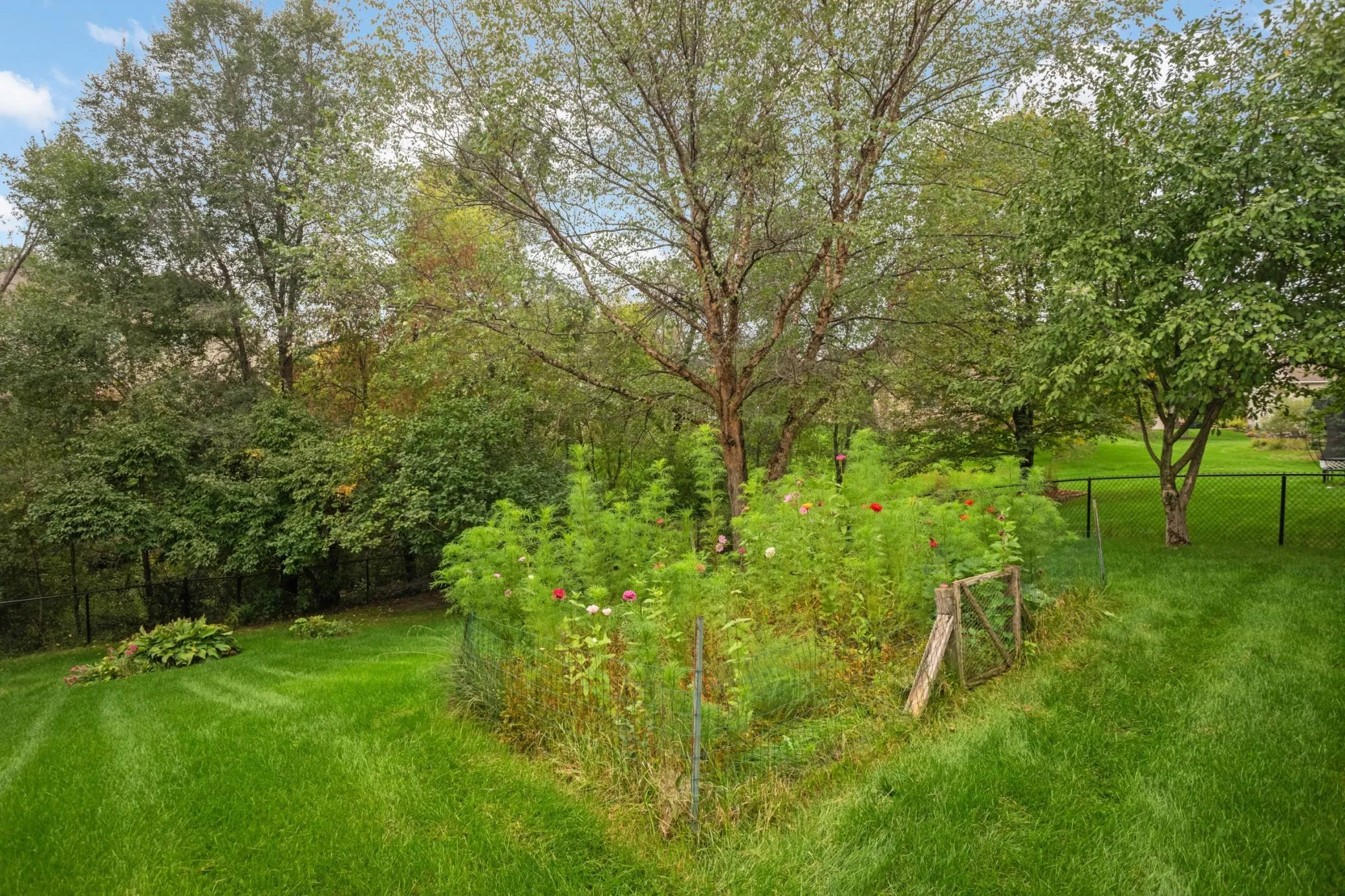 Photo 43 of 1443 Riverbluff Drive