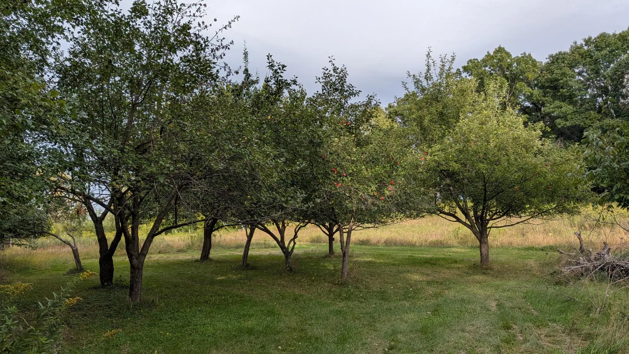 Photo 19 of 361 Oak Knoll Drive