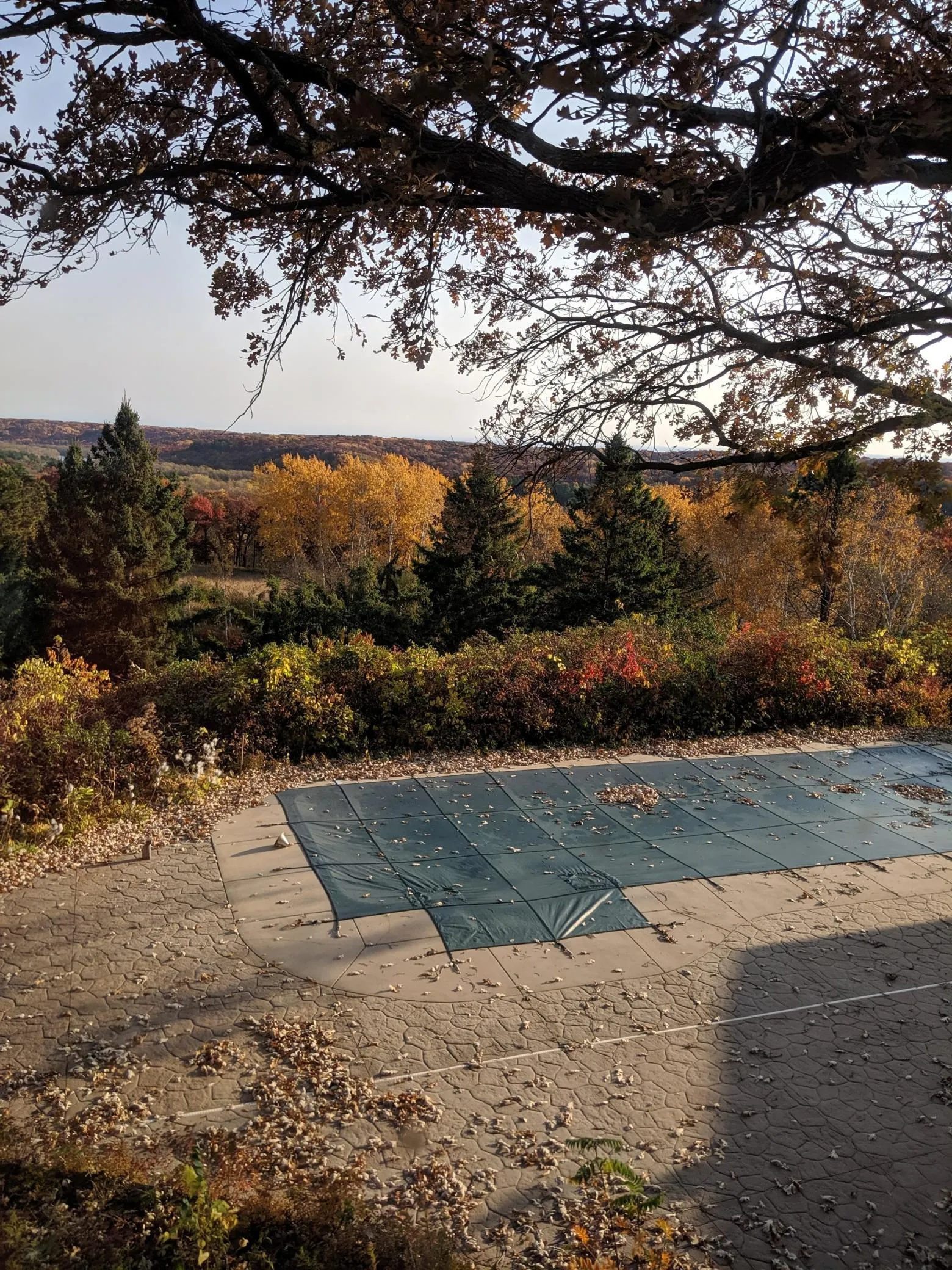 Photo 6 of 361 Oak Knoll Drive