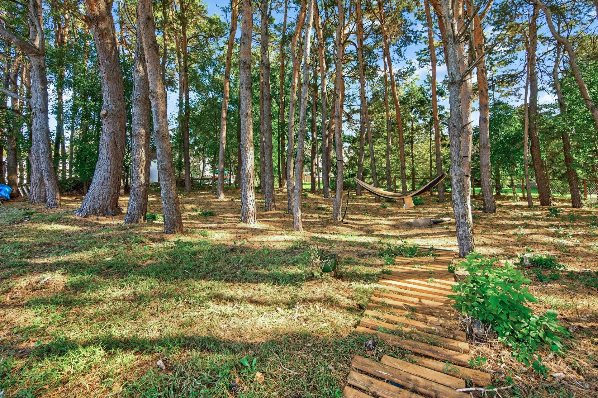Photo 22 of 5956 Norway Pine Court