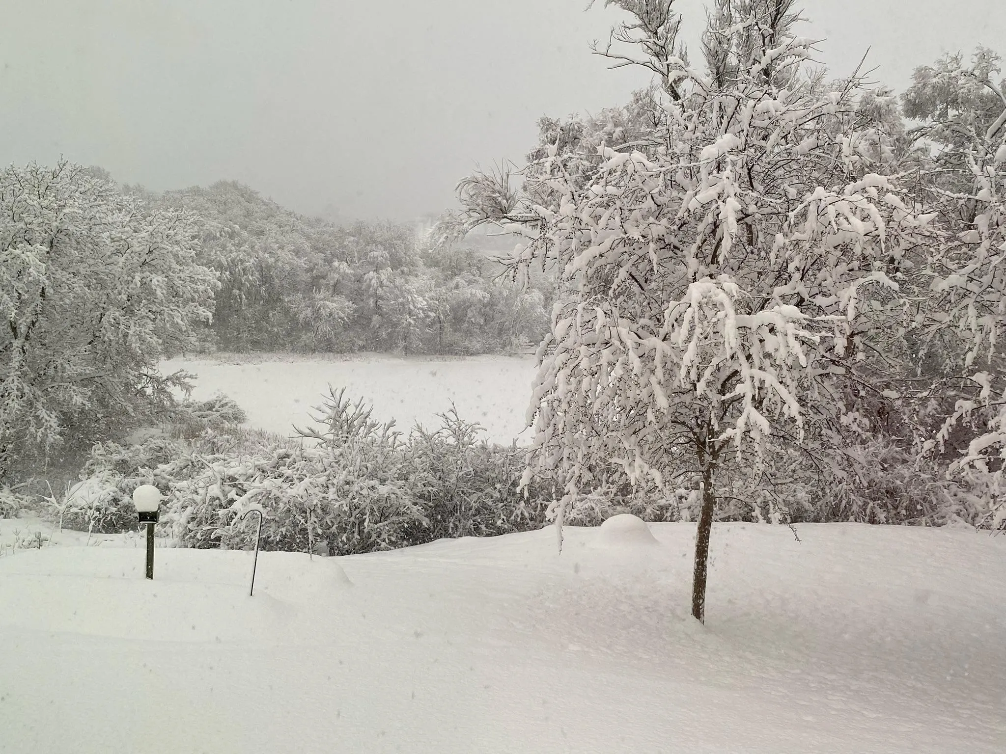 Photo 38 of 1588 Blackhawk Lake Drive