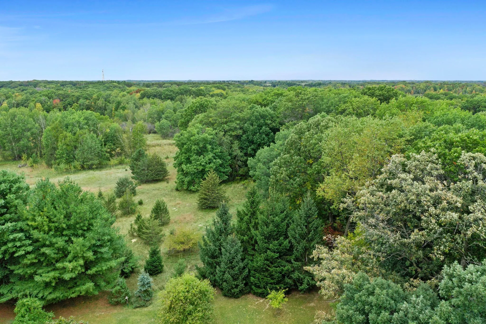 Photo 59 of 29614 Innsbrook Avenue