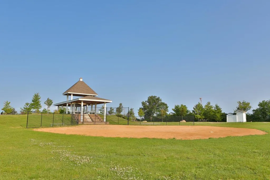 Photo 9 of 469 (lot 1) Prominence Way