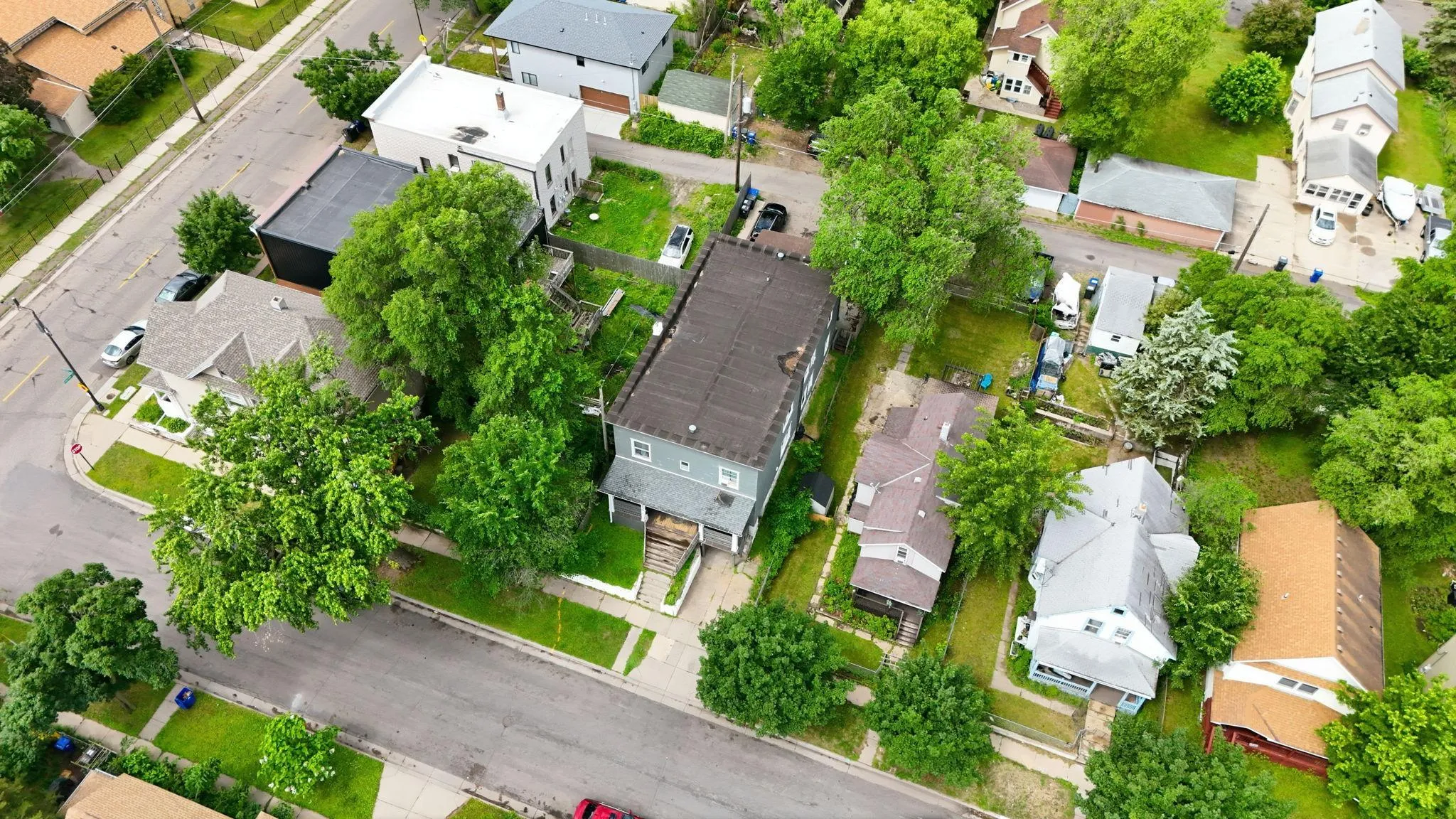 Photo 54 of 733 Bradley Street