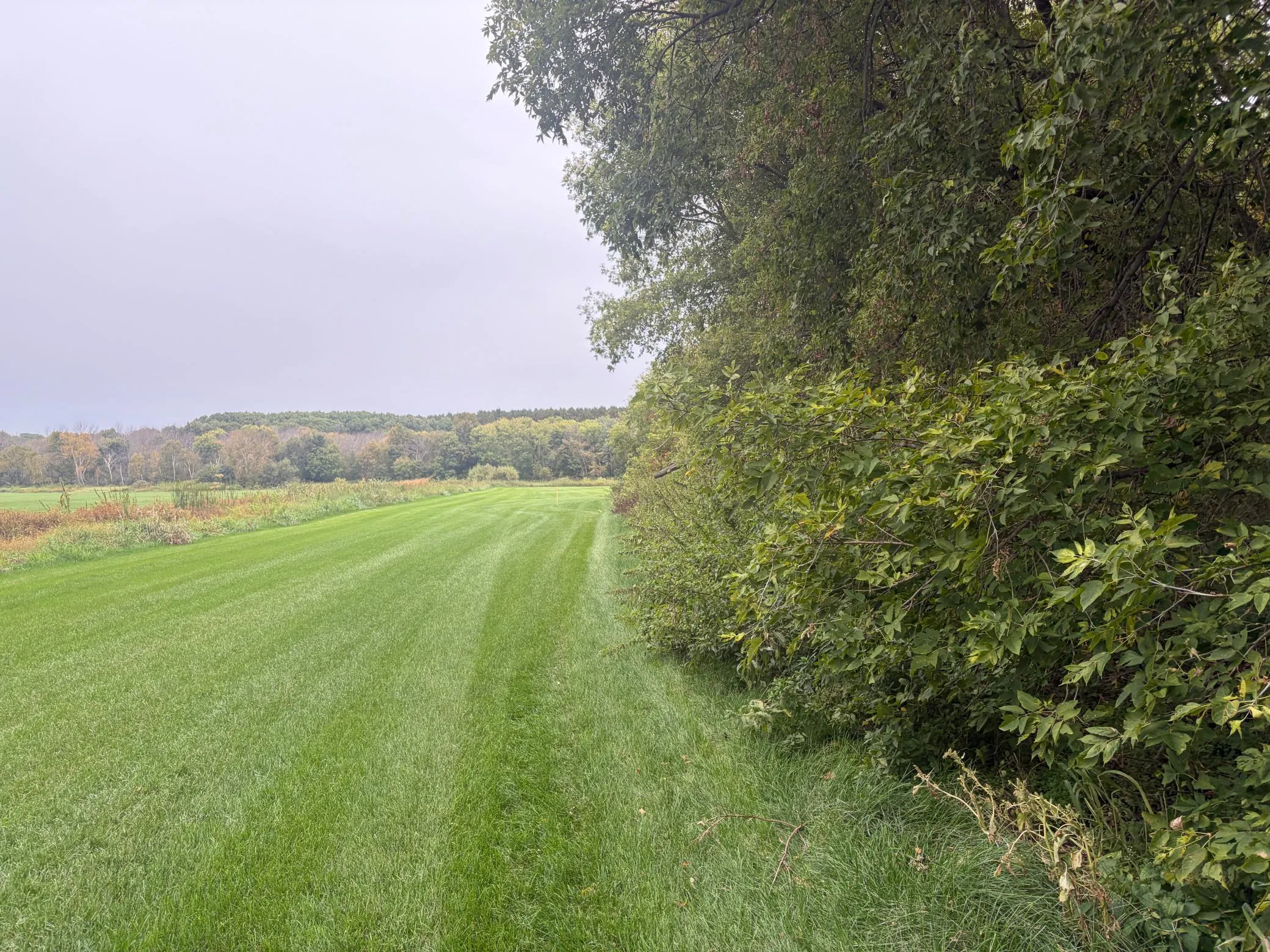 Photo 5 of Tbd County Road 4