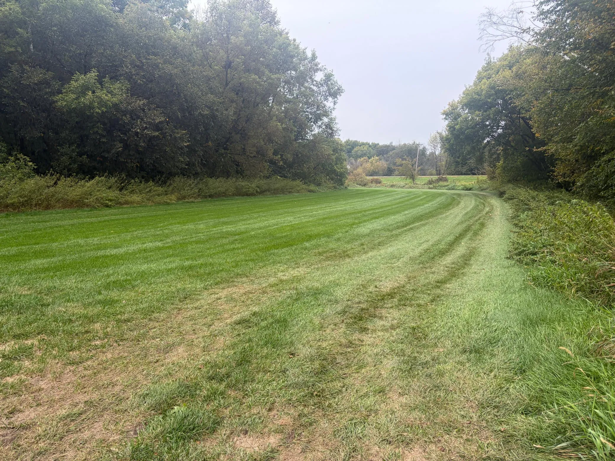 Photo 6 of Tbd County Road 4