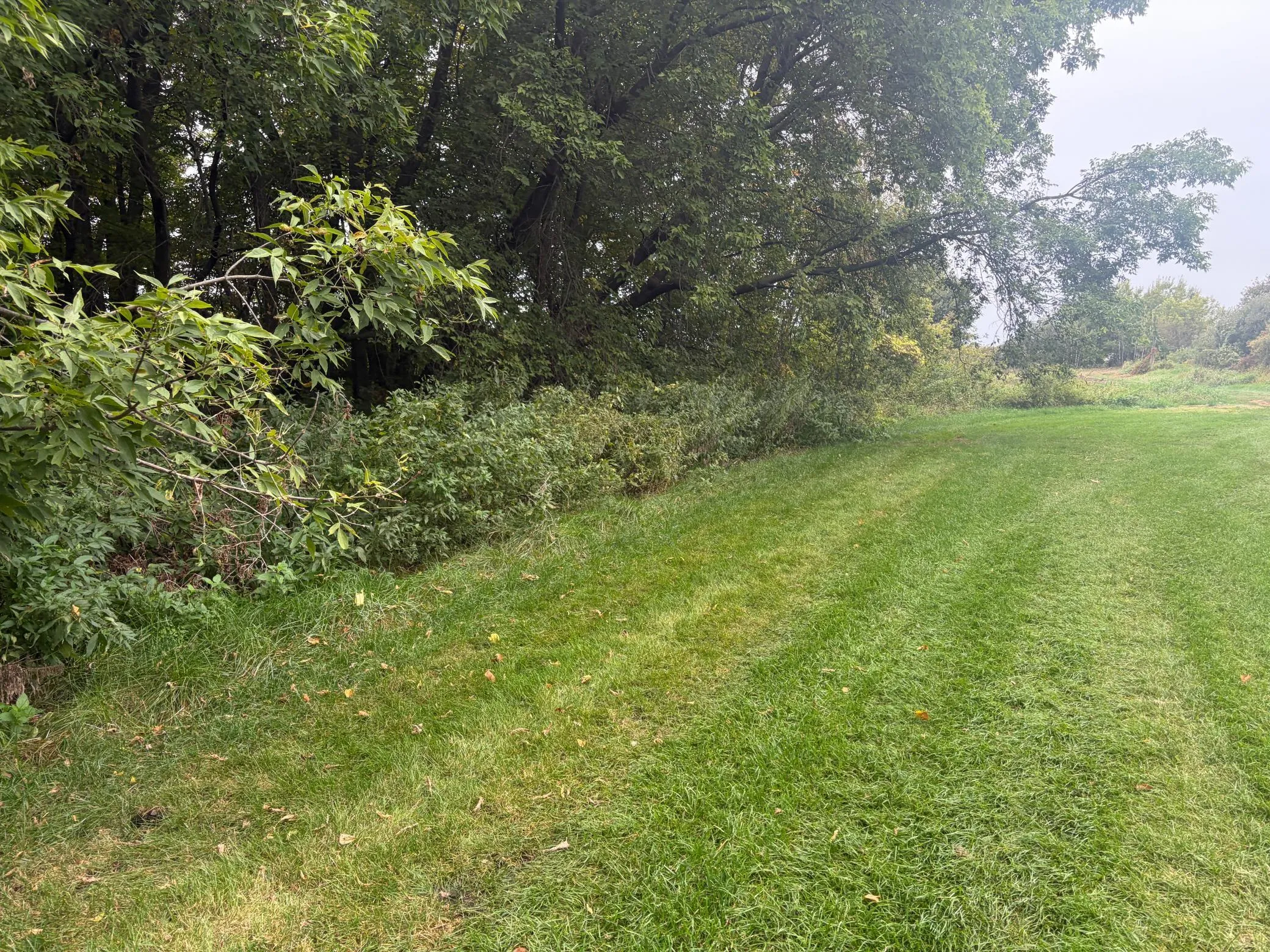 Photo 8 of Tbd County Road 4