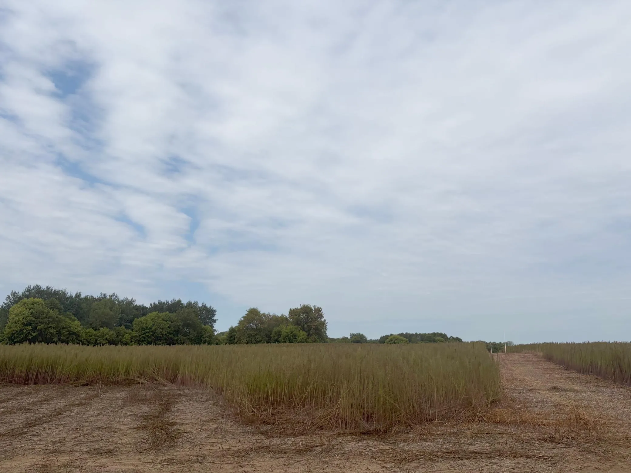 Photo 3 of Tbd (l1-sm East) 269th Nw Avenue