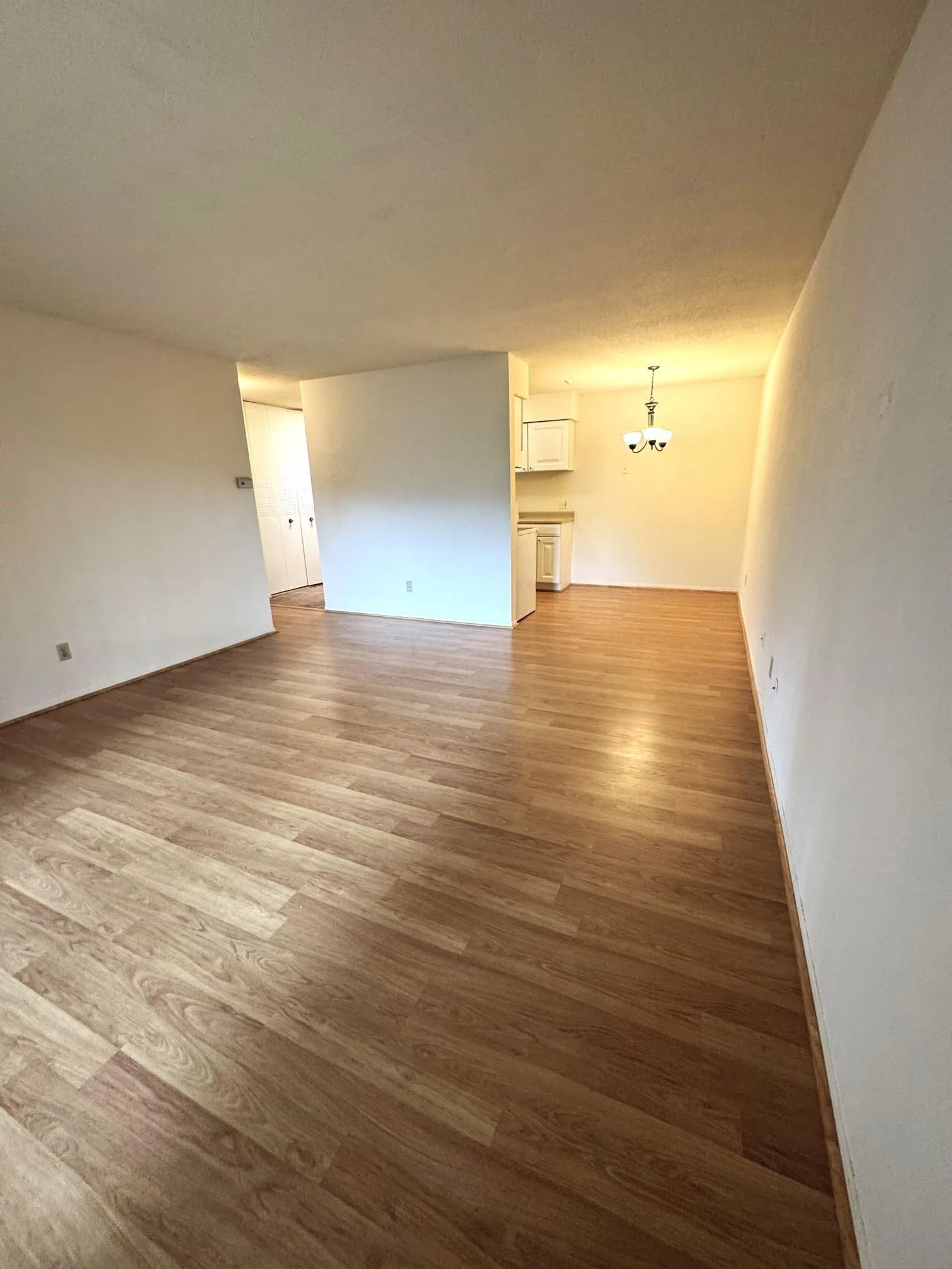 Photo 7 of 7414 W 22nd Street Unit 306