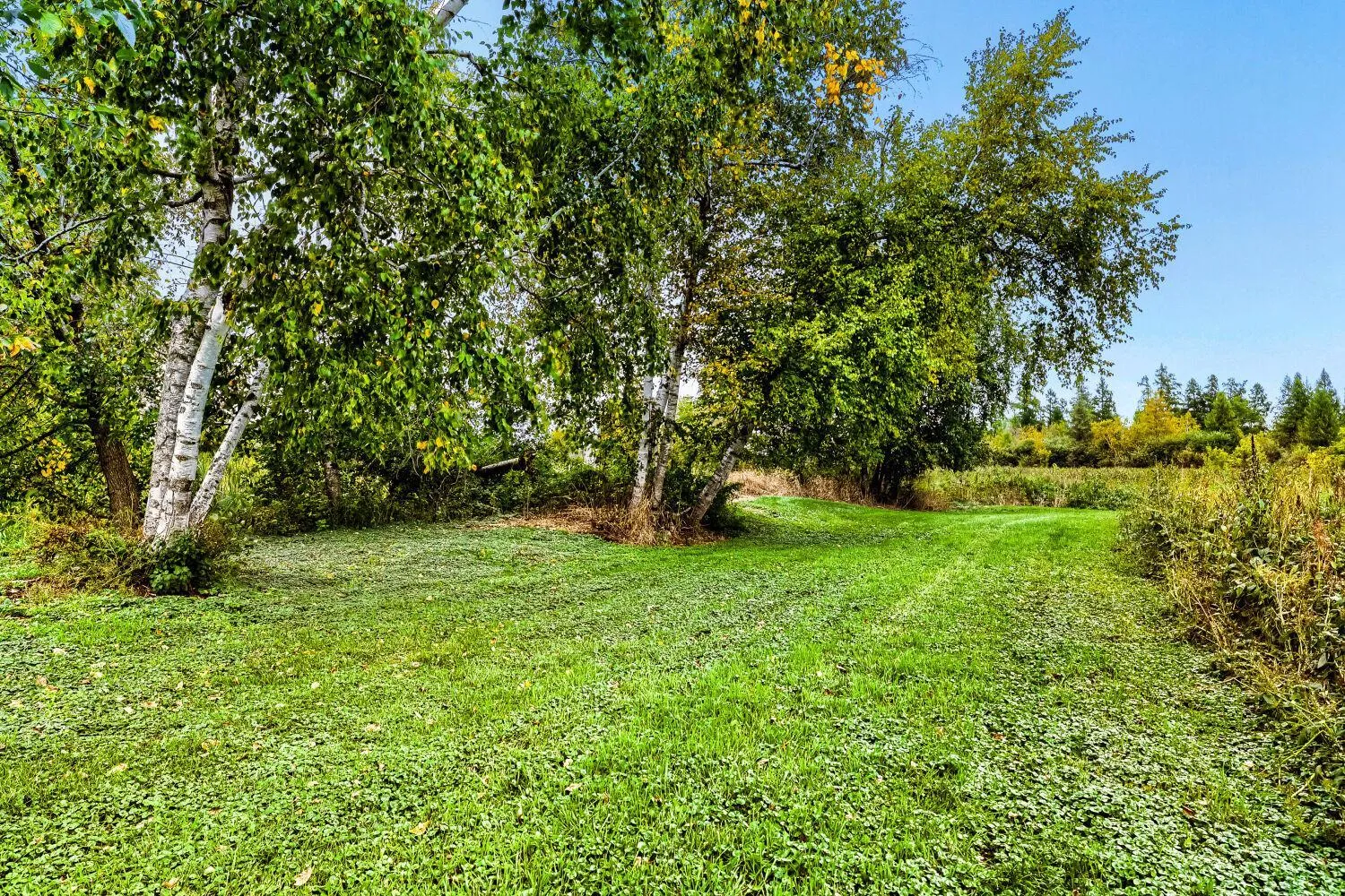 Photo 13 of 18335 Imperial N Avenue