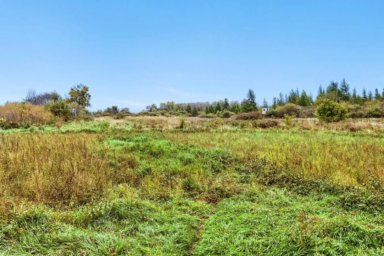 Photo 19 of 18335 Imperial N Avenue