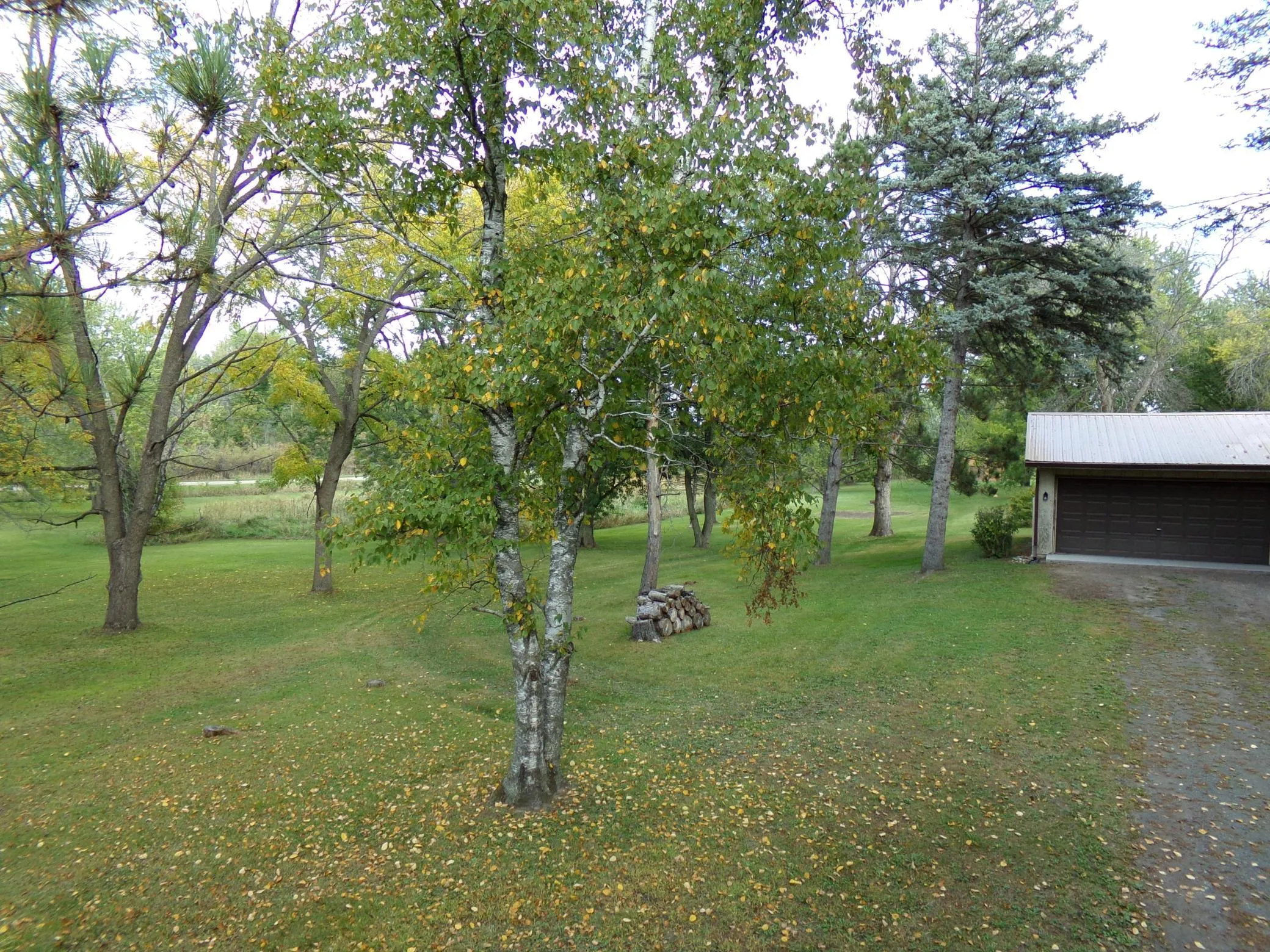 Photo 8 of 18323 Elmcrest N Avenue