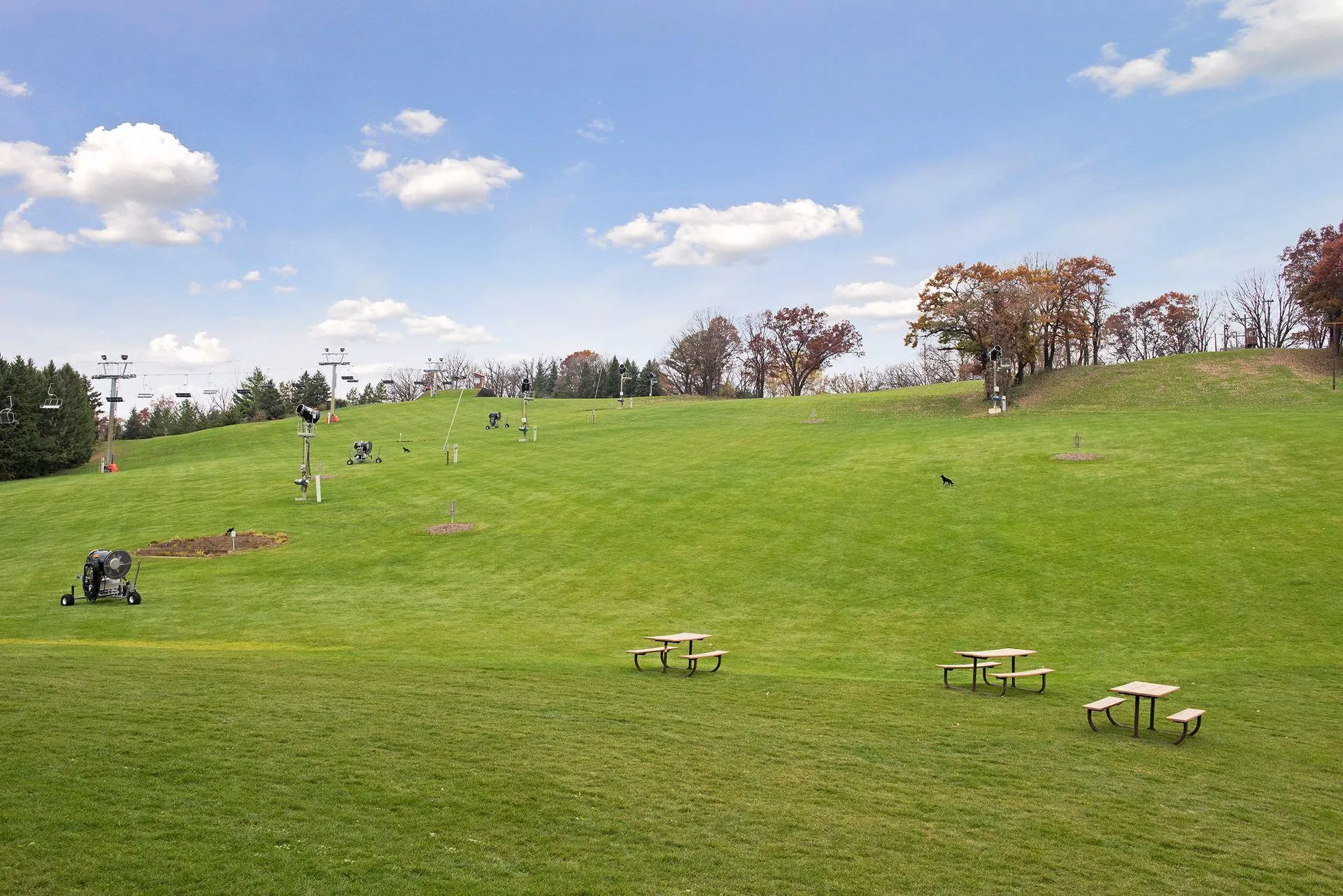 Photo 51 of 8060 Pennsylvania Road