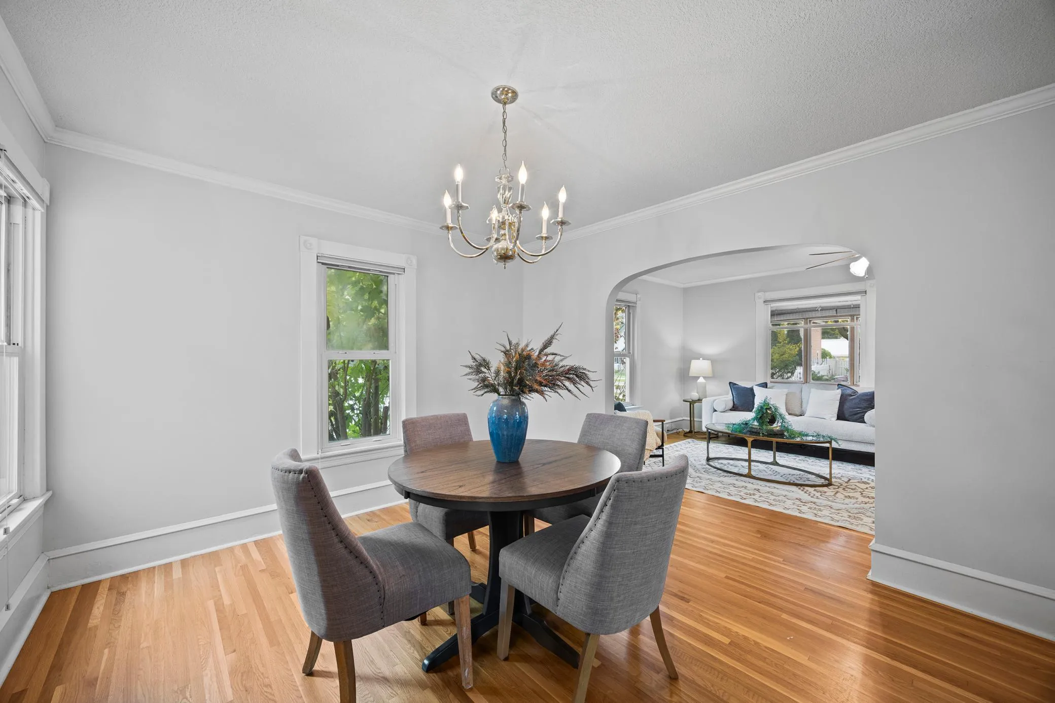 Photo 10 of 245 8th N Avenue