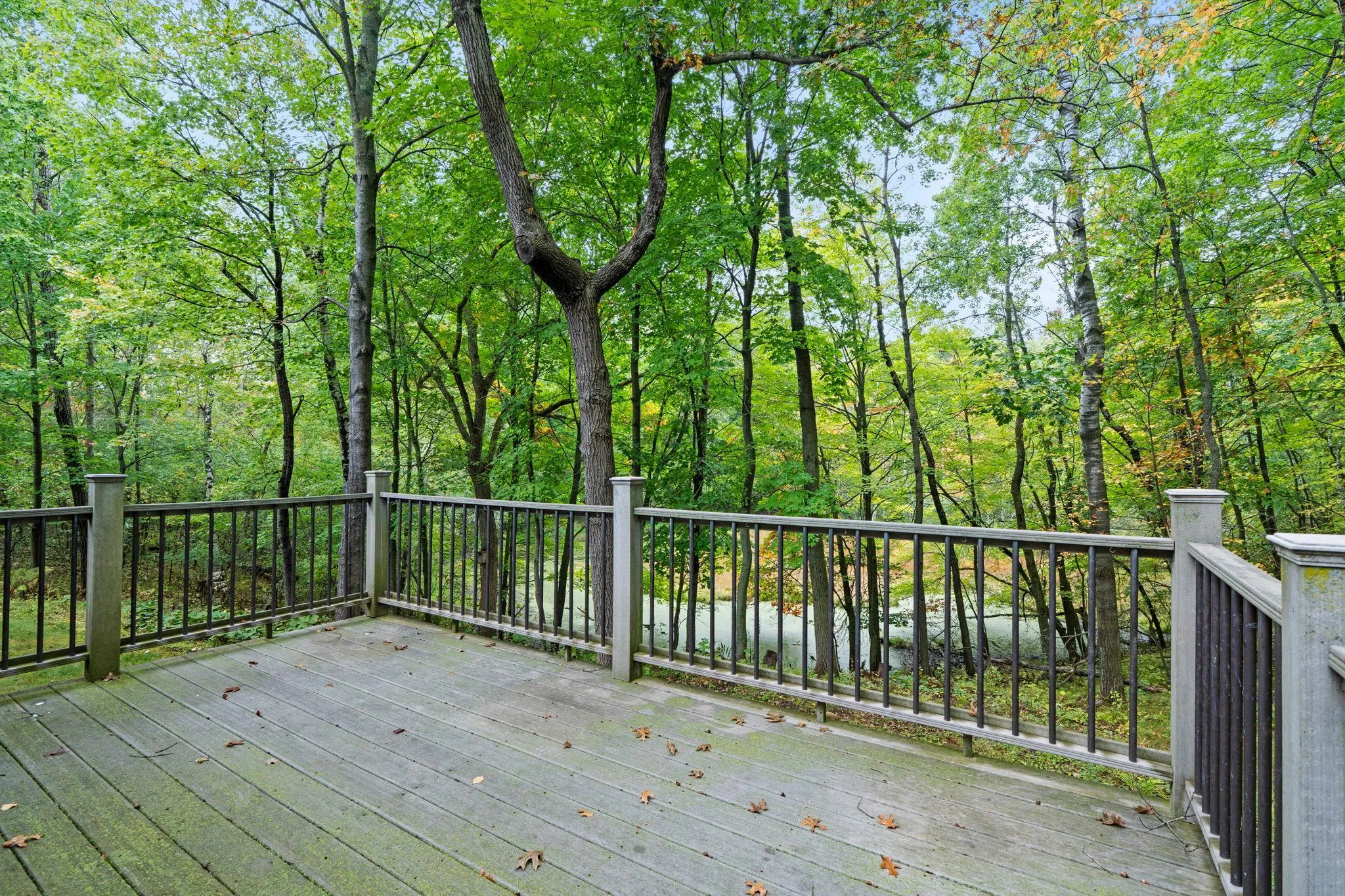 Photo 56 of 16090 Morgan N Avenue