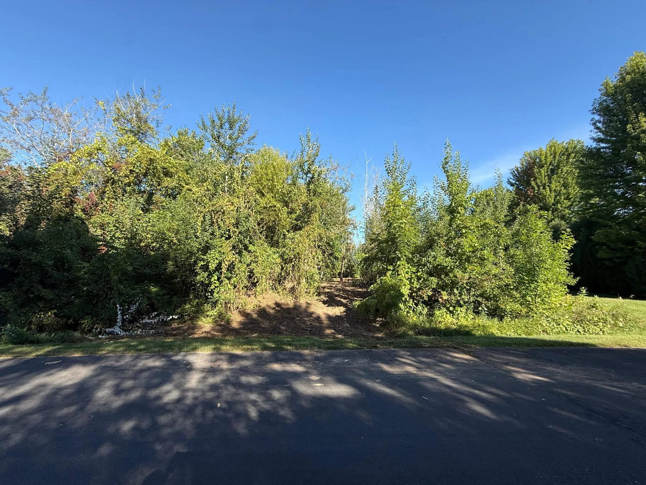 Photo 2 of L8 B1 319th Ne Lane