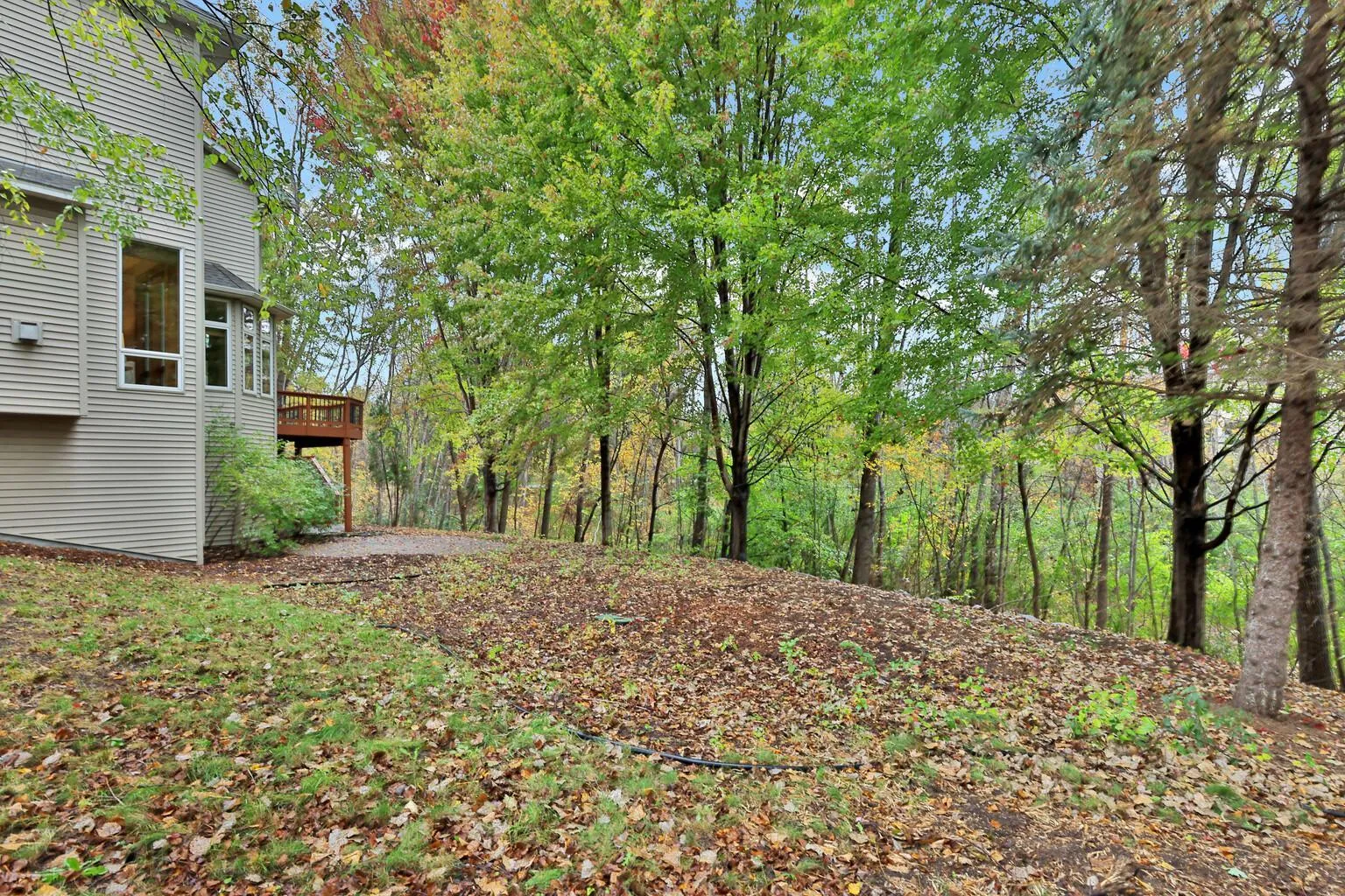 Photo 4 of 12486 Cornell Court