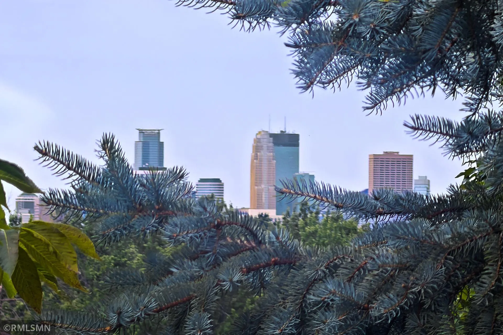 Photo 5 of 3101 W Armour Terrace