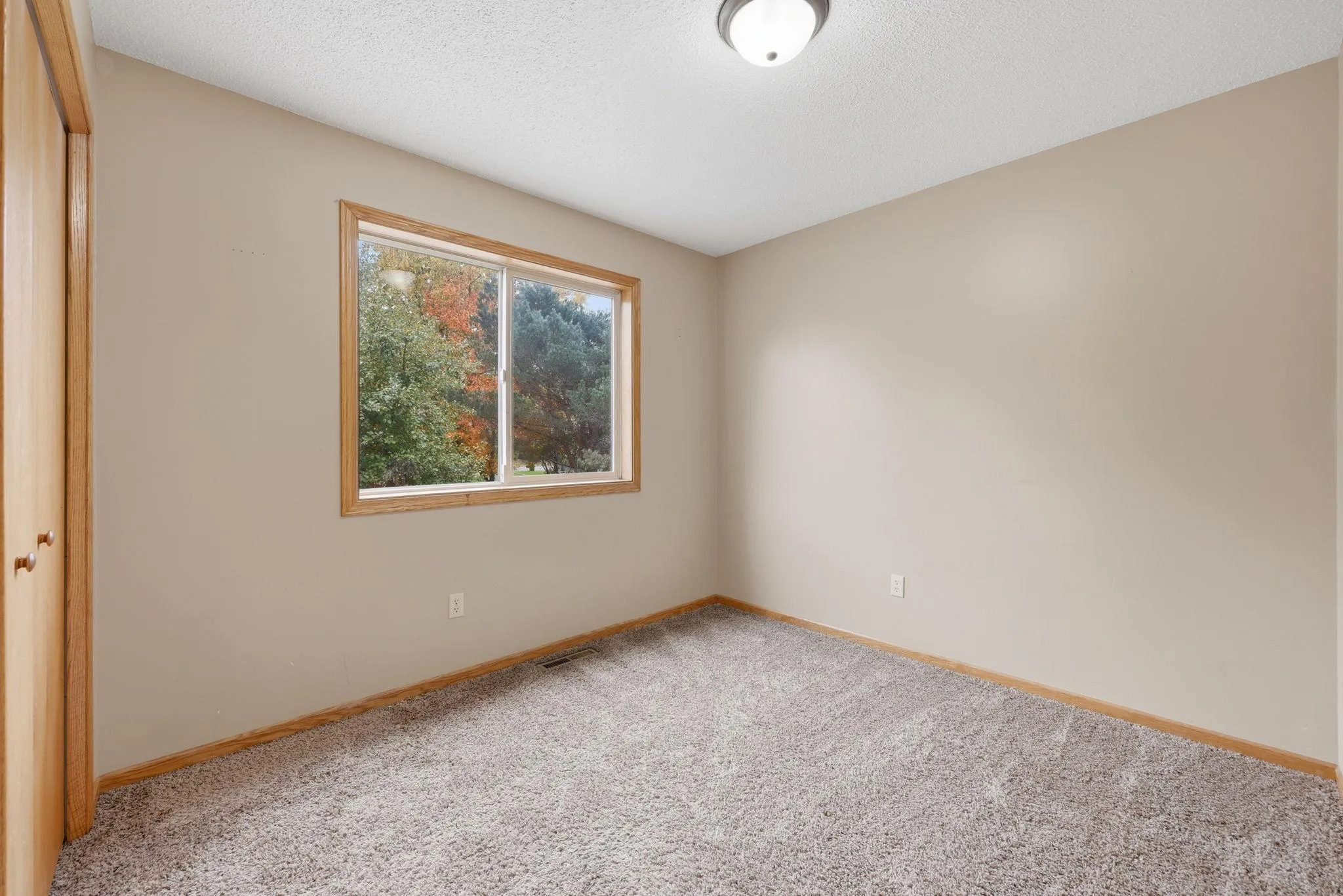 Photo 13 of 11229 Jenkins Drive