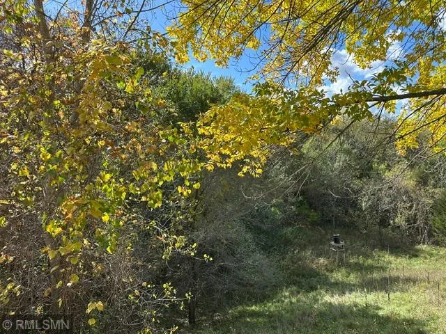 Photo 10 of 1007 N Rum River Drive