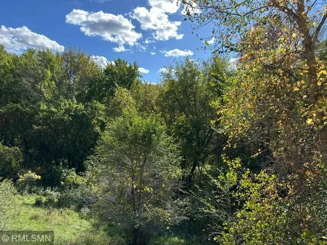 Photo 11 of 1007 N Rum River Drive