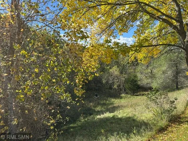 Photo 12 of 1007 N Rum River Drive