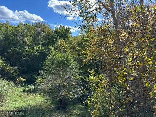 Photo 9 of 1007 N Rum River Drive