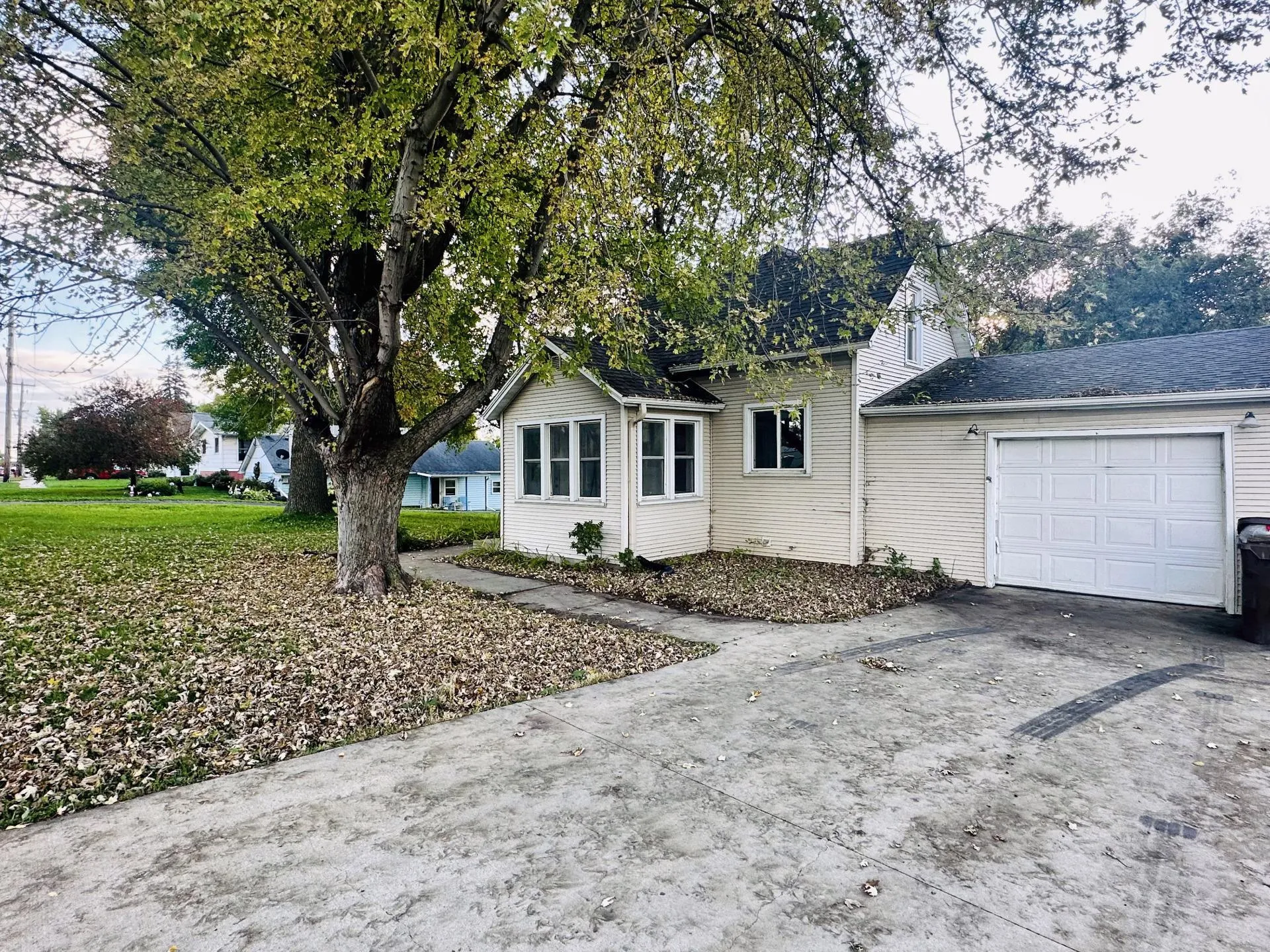 Photo 5 of 523 Oak N Avenue