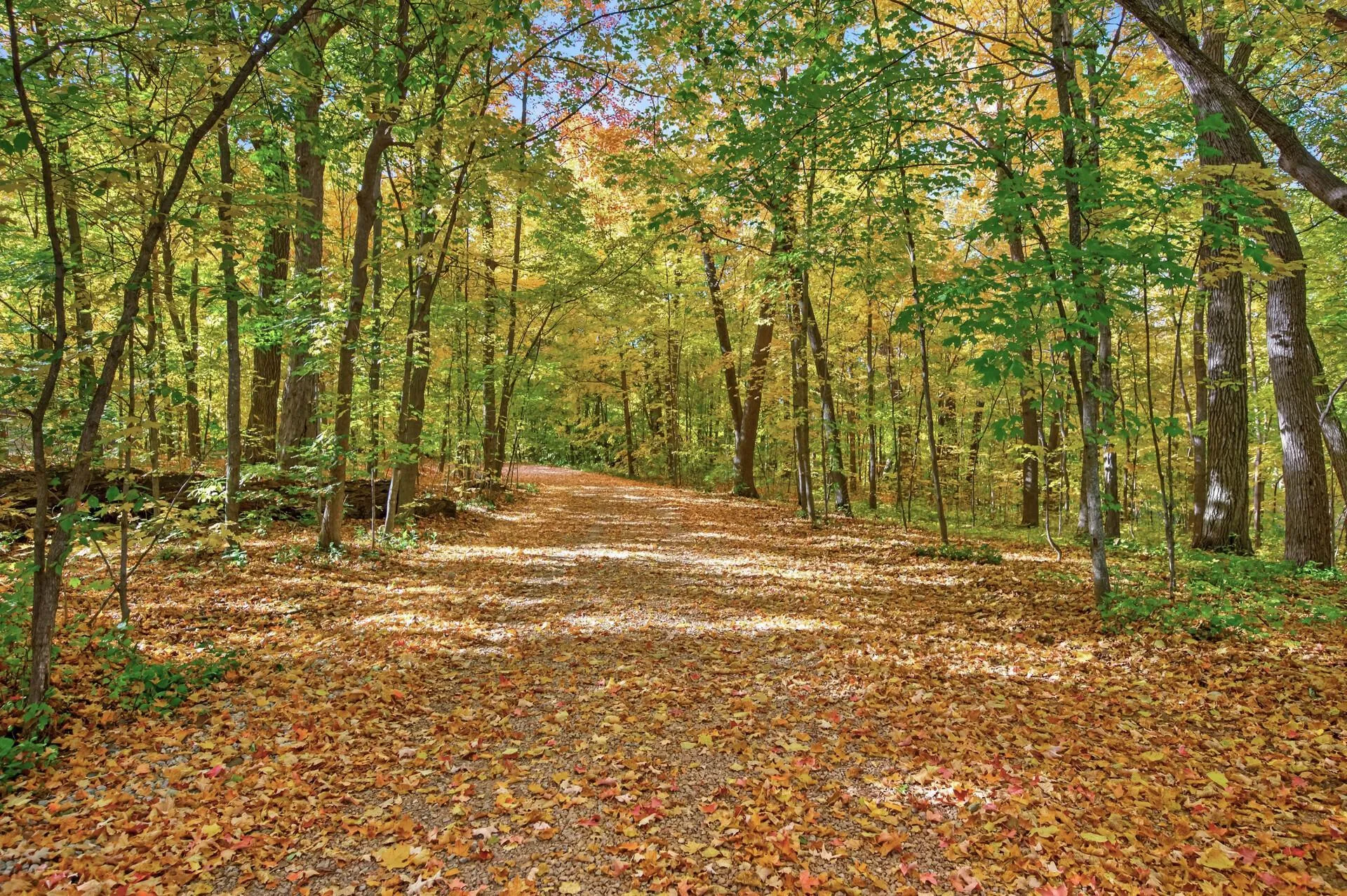 Photo 33 of 2135 County Road 24