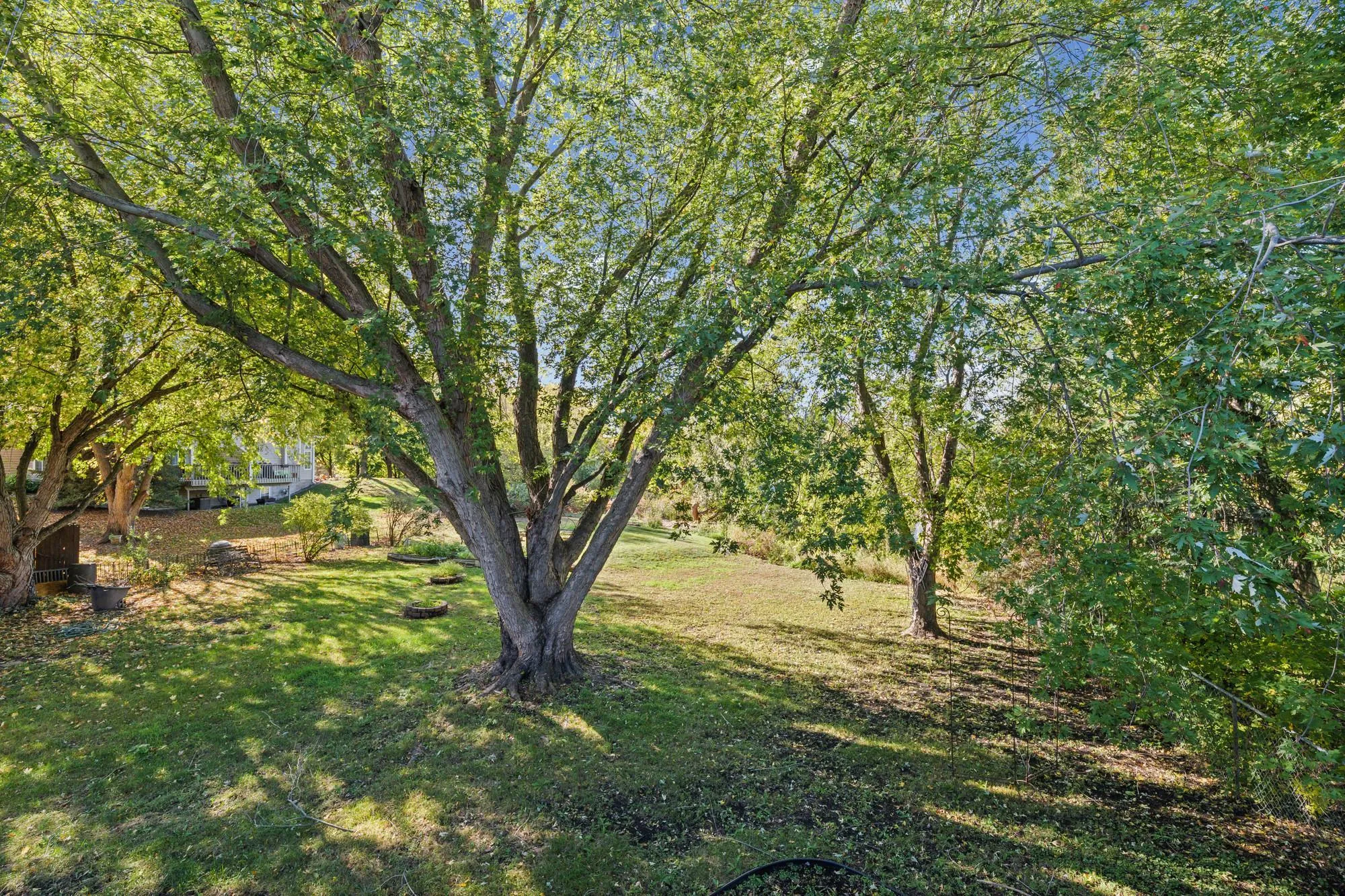 Photo 42 of 5570 Fillmore Ne Street