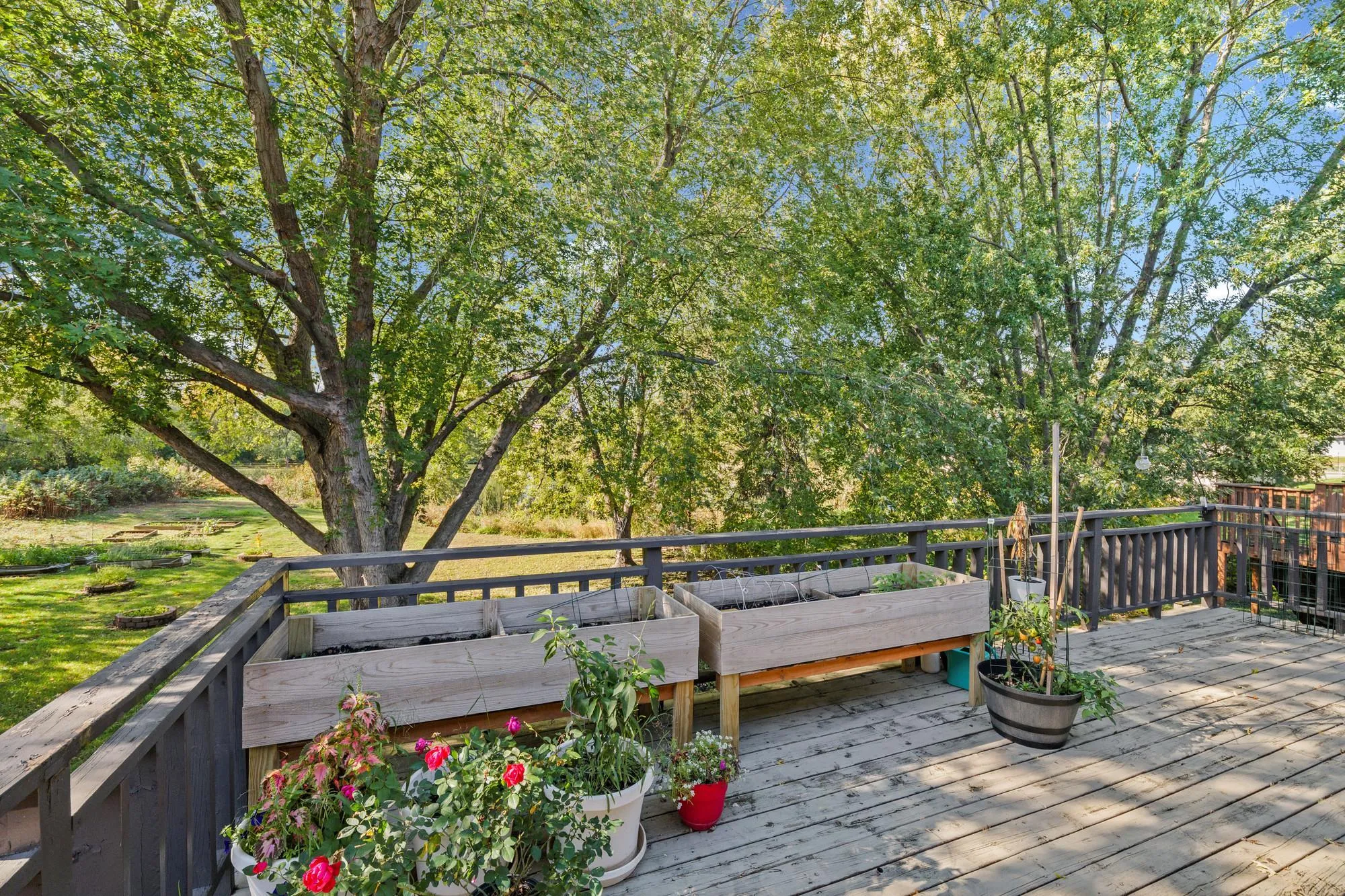 Photo 40 of 5570 Fillmore Ne Street
