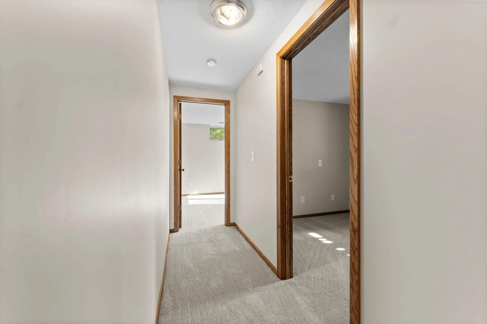 Photo 57 of 12575 Fescue Court
