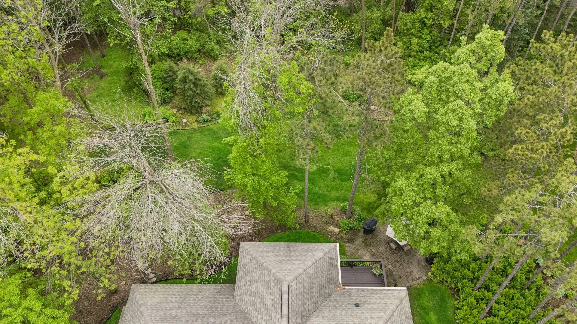 Photo 58 of 9001 Springwood Drive