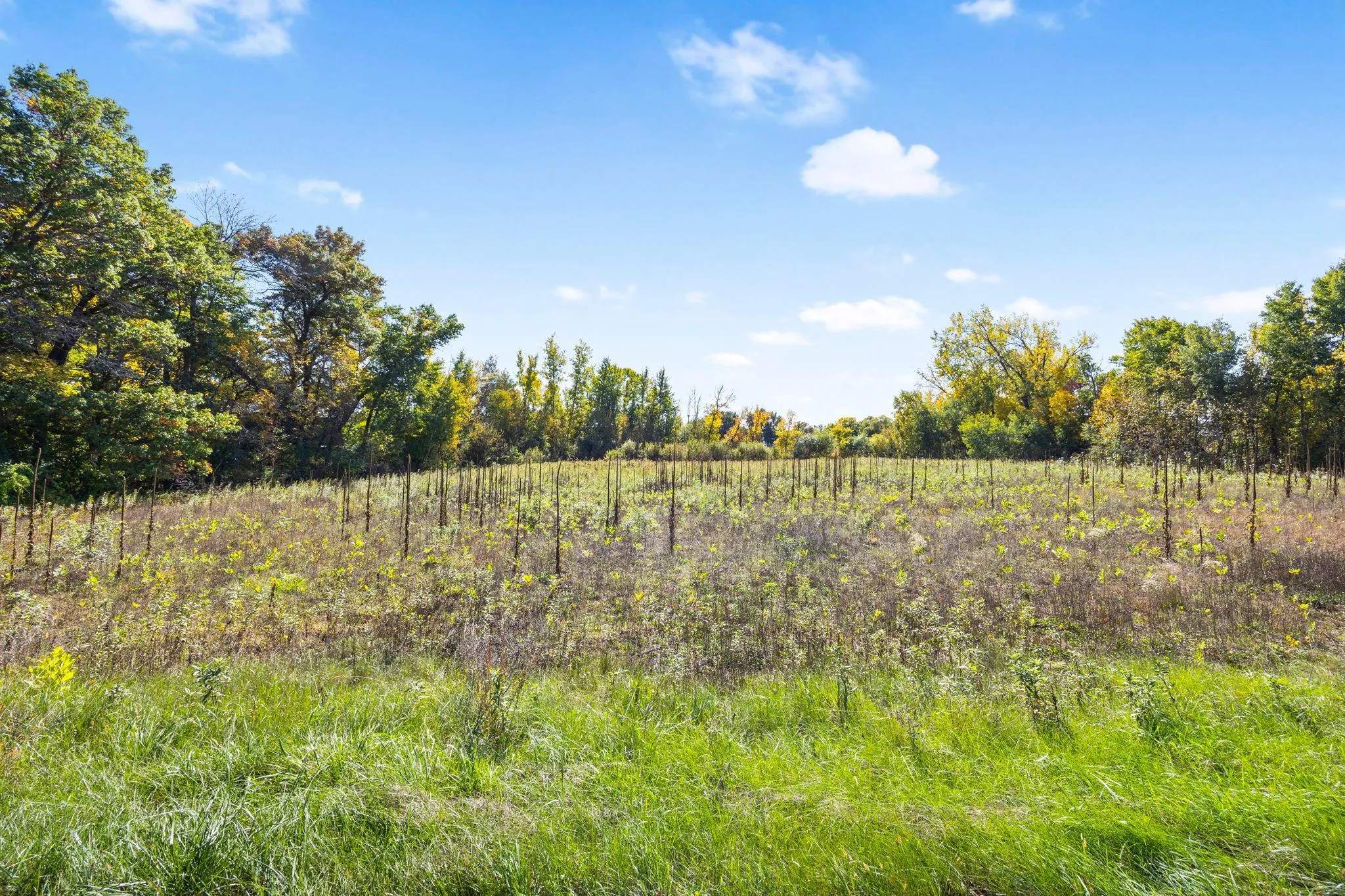 Photo 15 of Lot 2 328th Ne Avenue