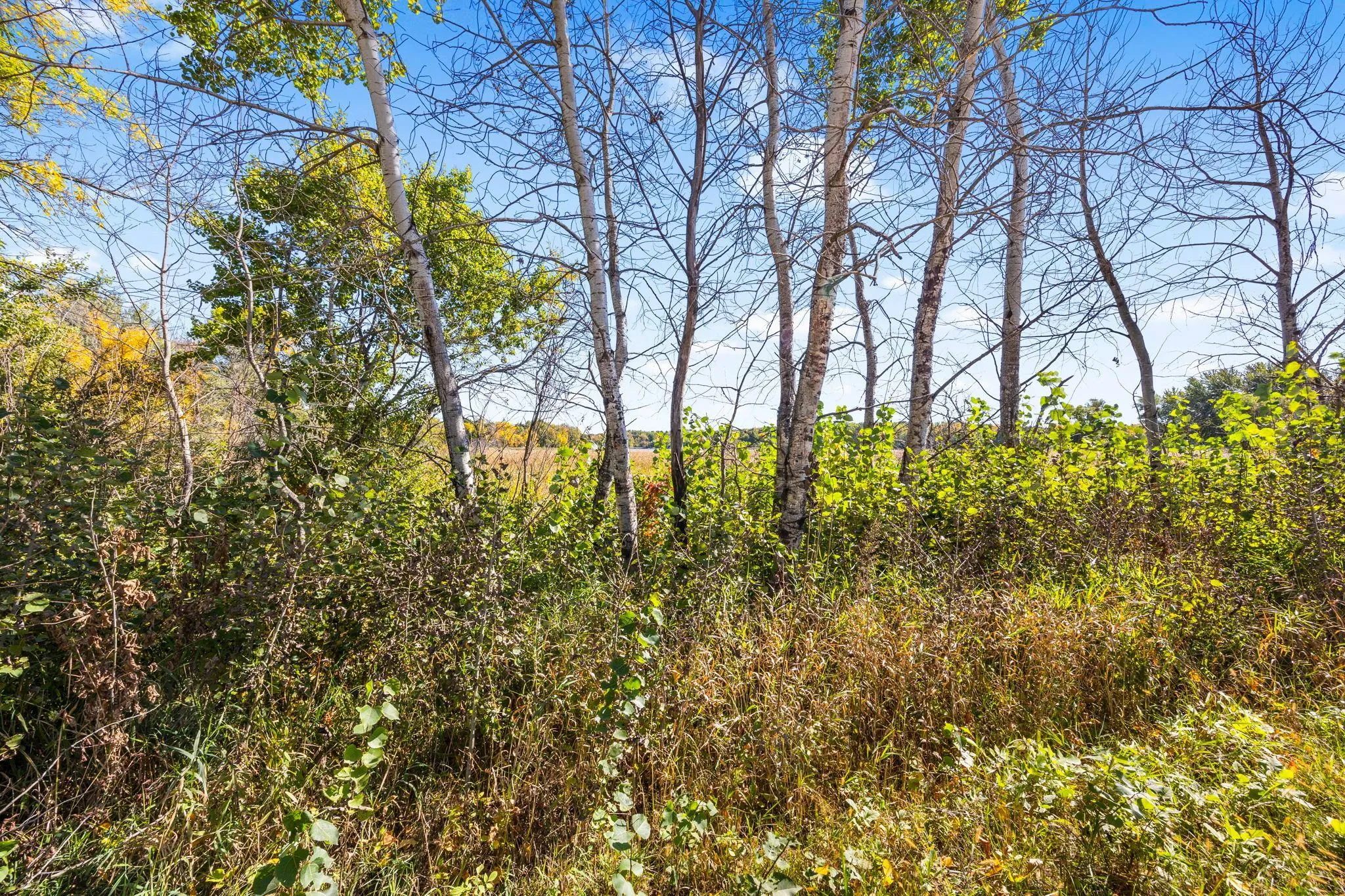Photo 23 of Lot 2 328th Ne Avenue
