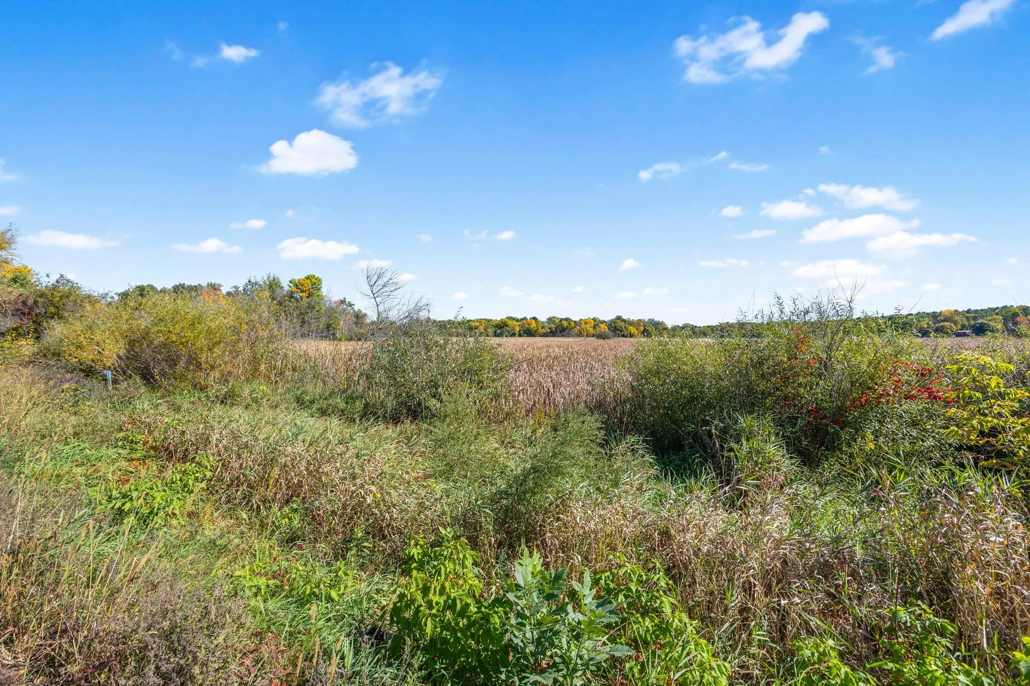 Photo 7 of Lot 10 N 328th Ne Avenue