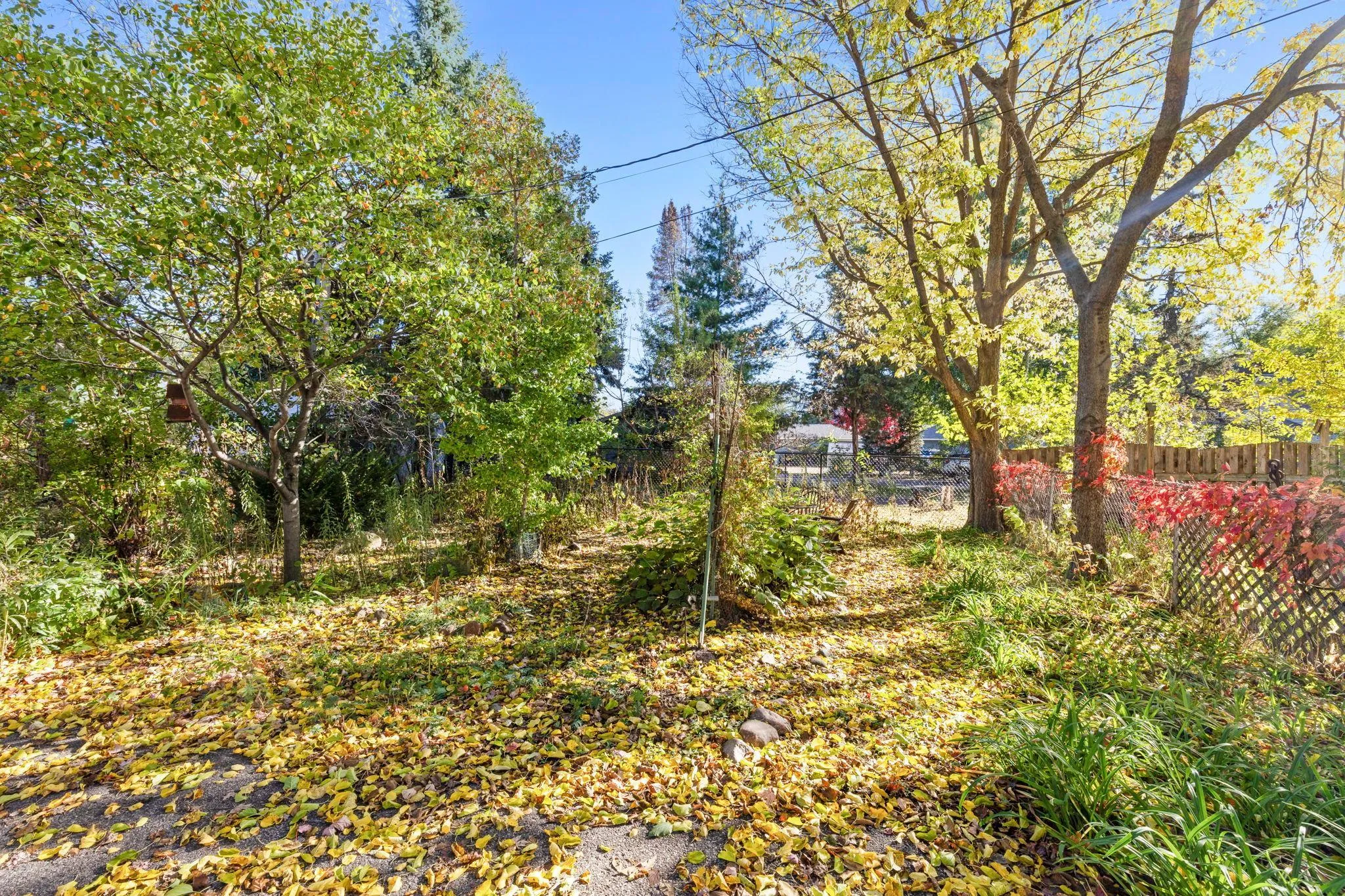 Photo 29 of 816 24th Ne Avenue