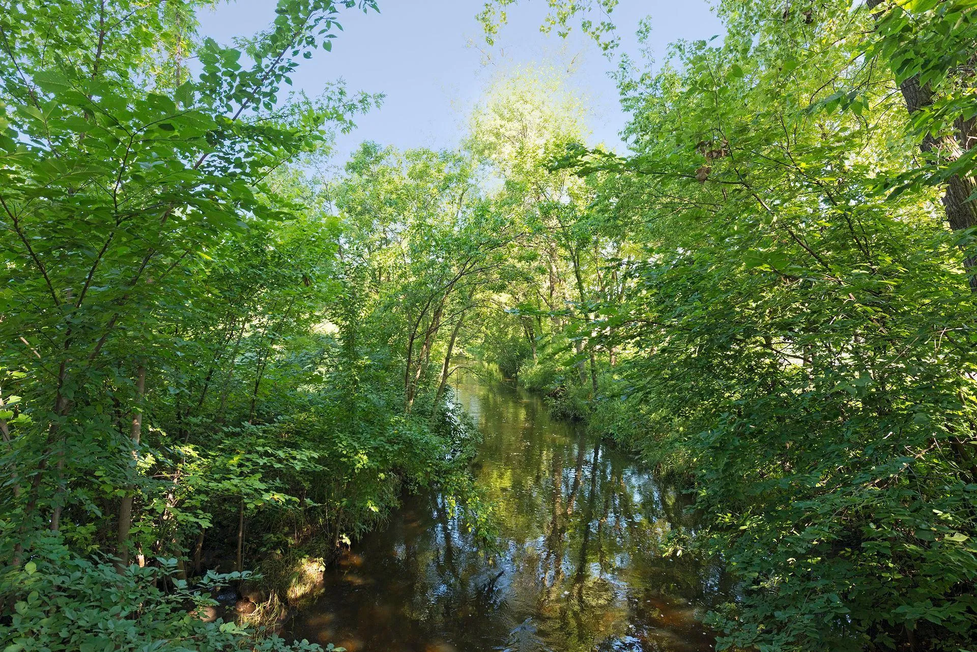 Photo 67 of 5452 Fremont N Avenue