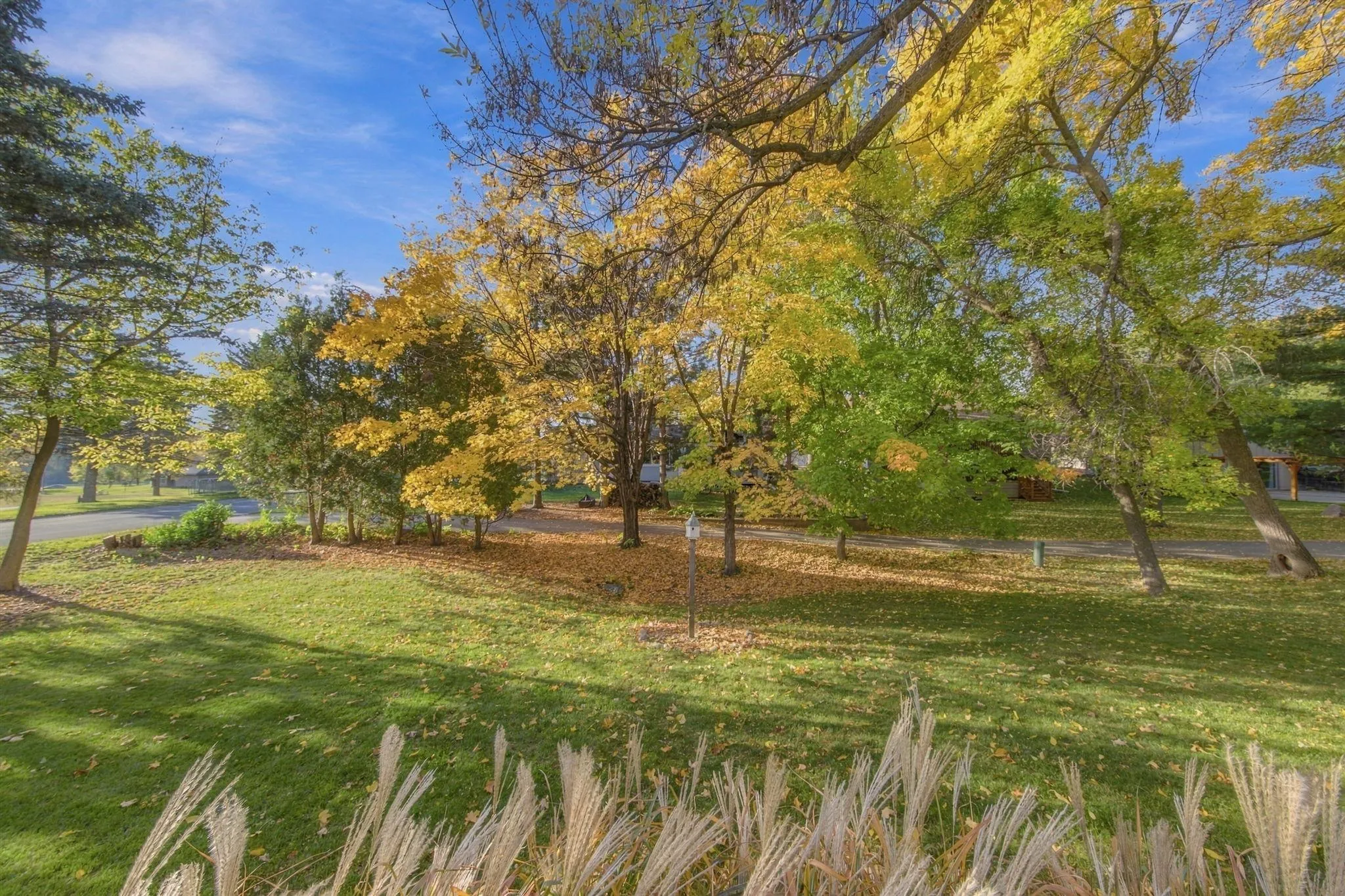 Photo 49 of 11115 Lanewood Circle